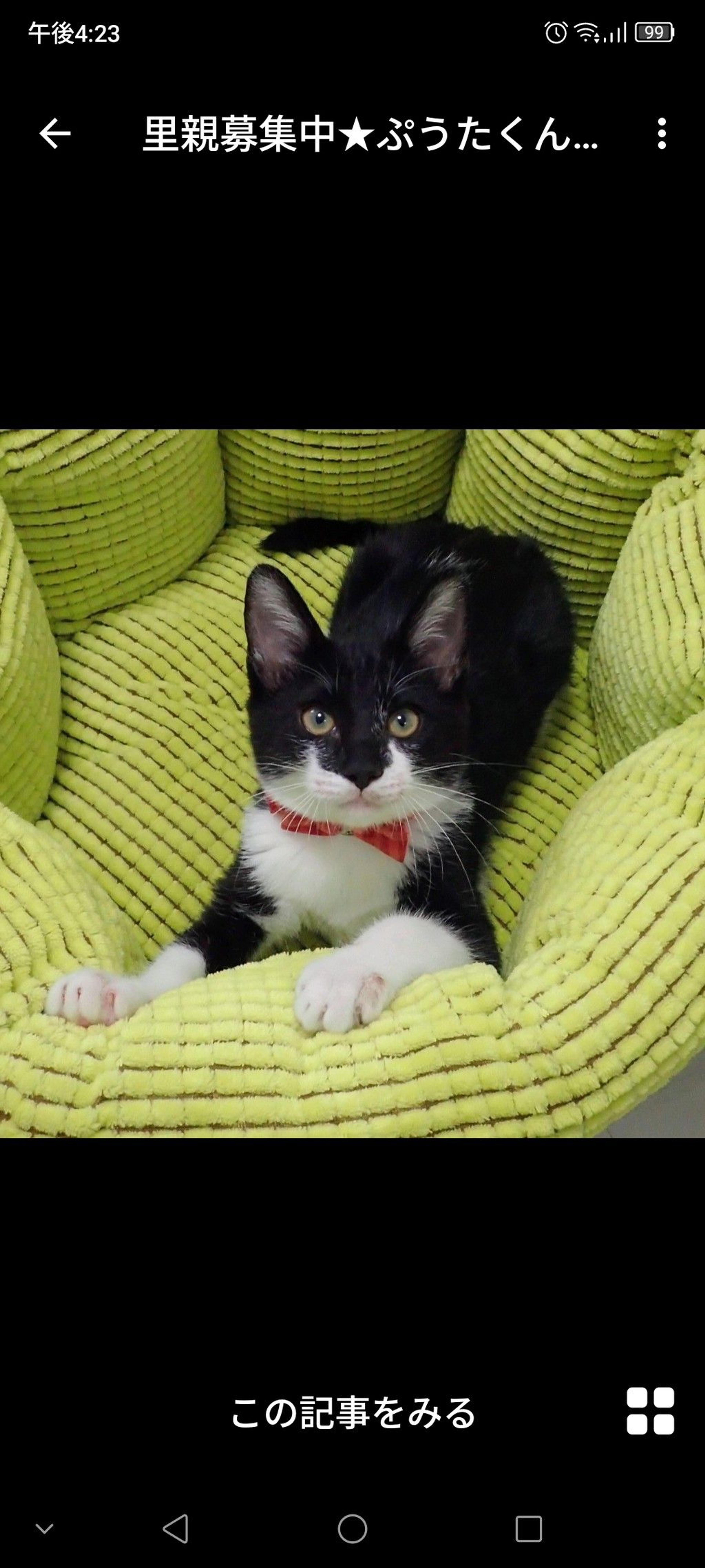 pet-image-2
