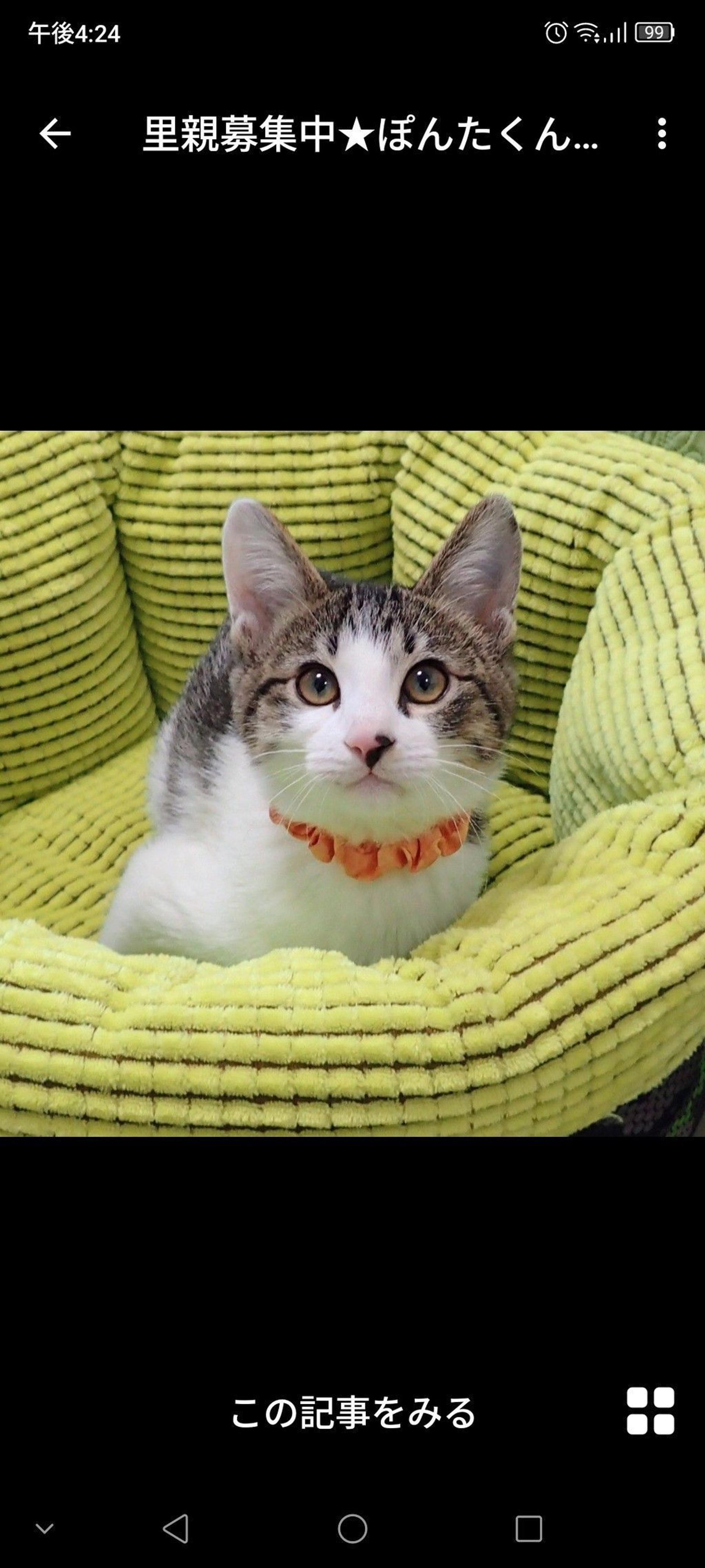 pet-image-2