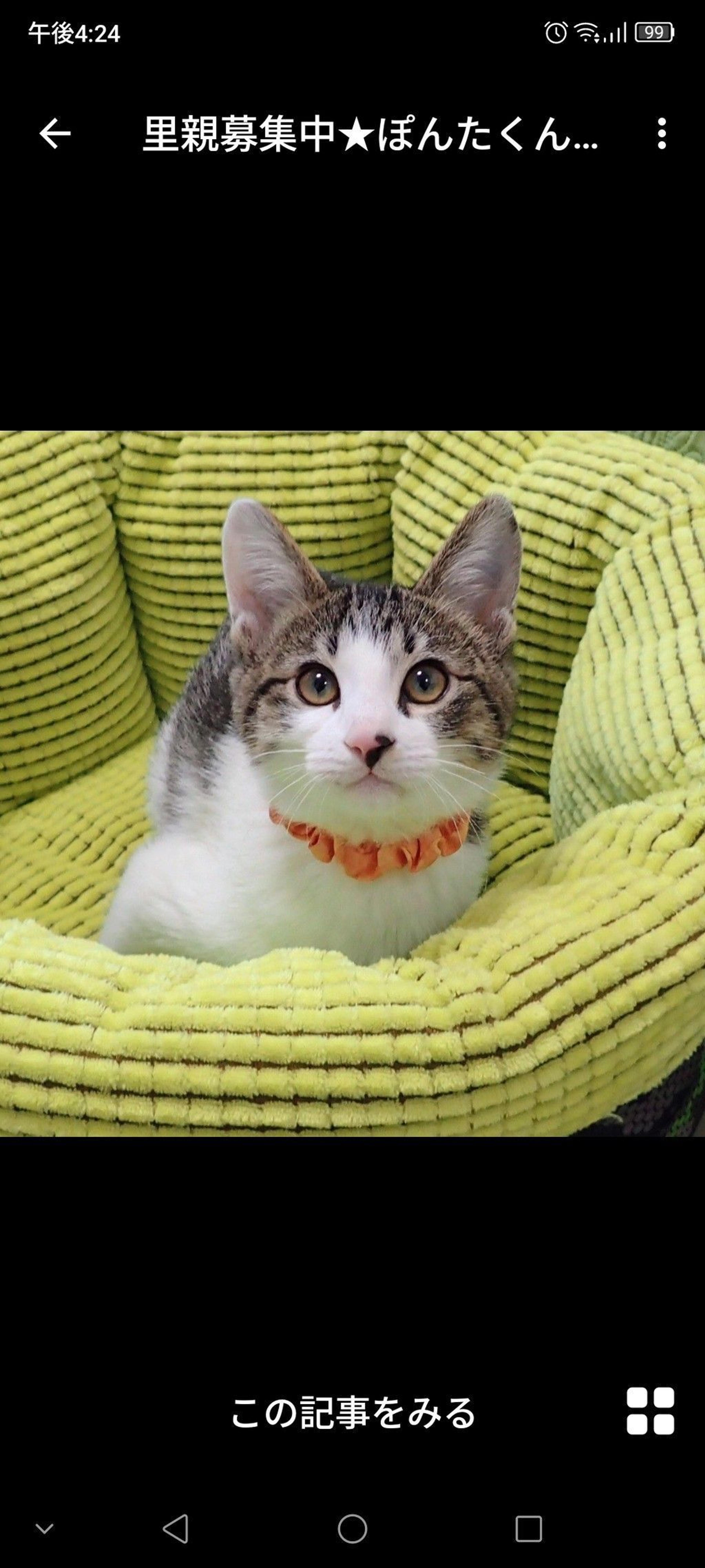 pet-image-2