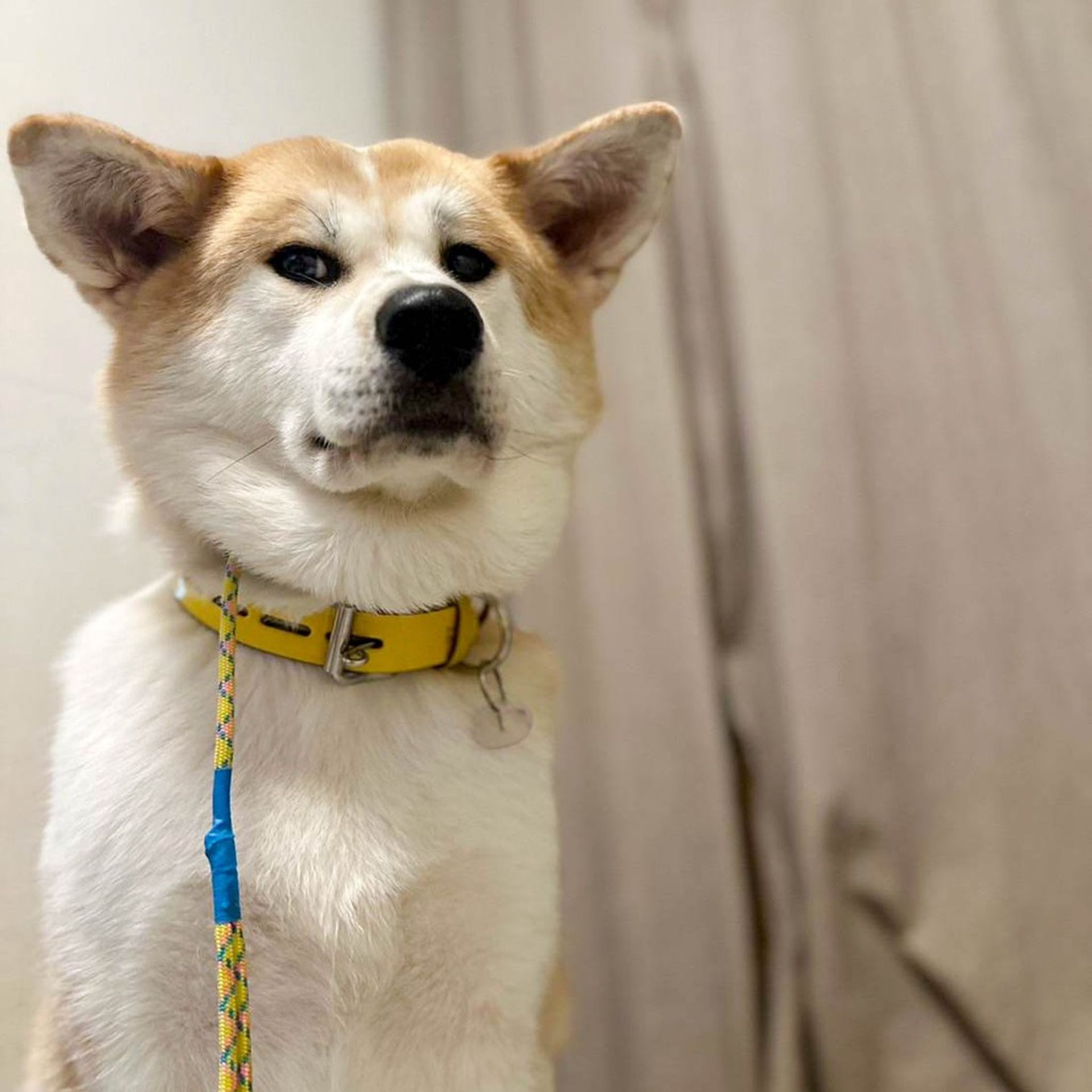 thumbnail-6