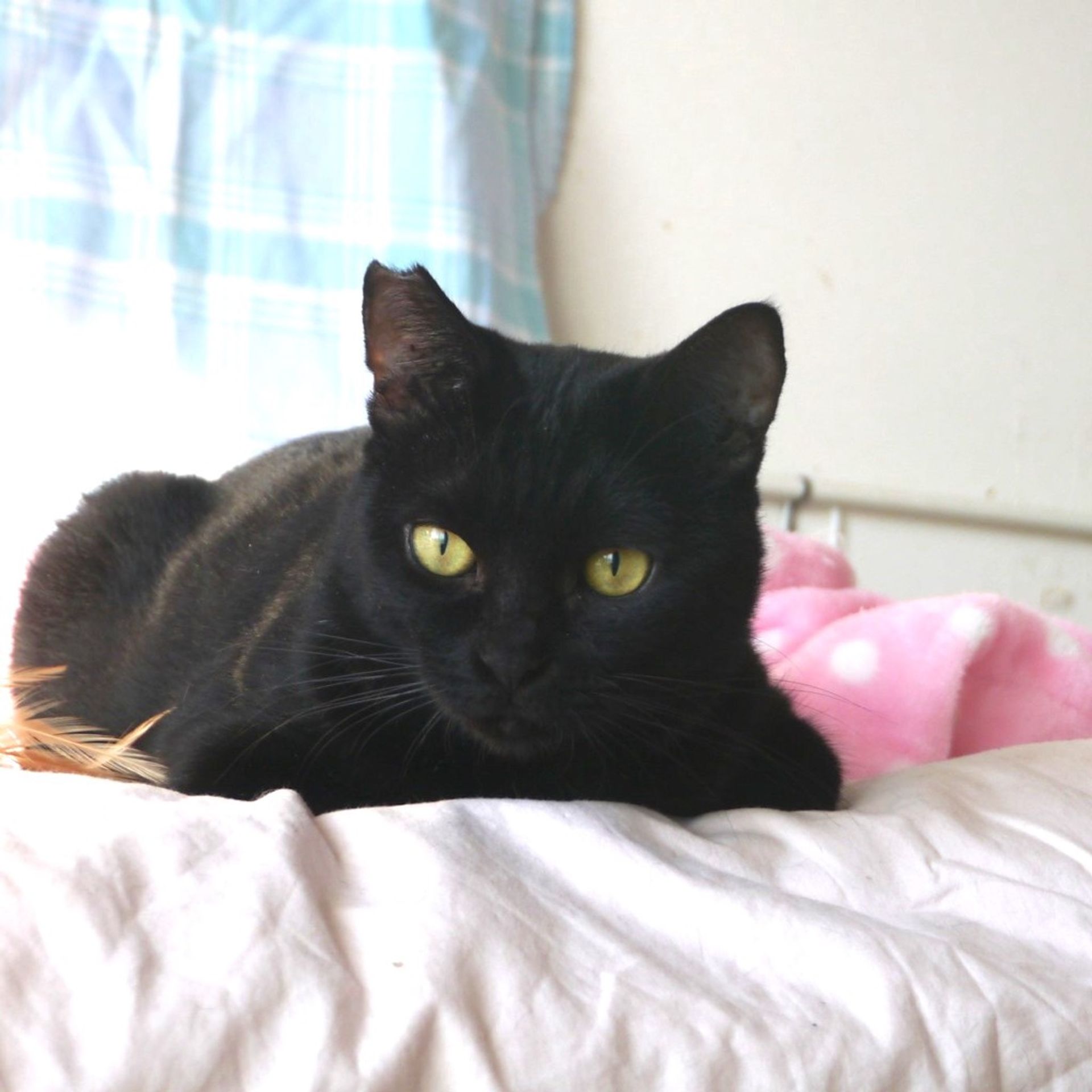 thumbnail-4