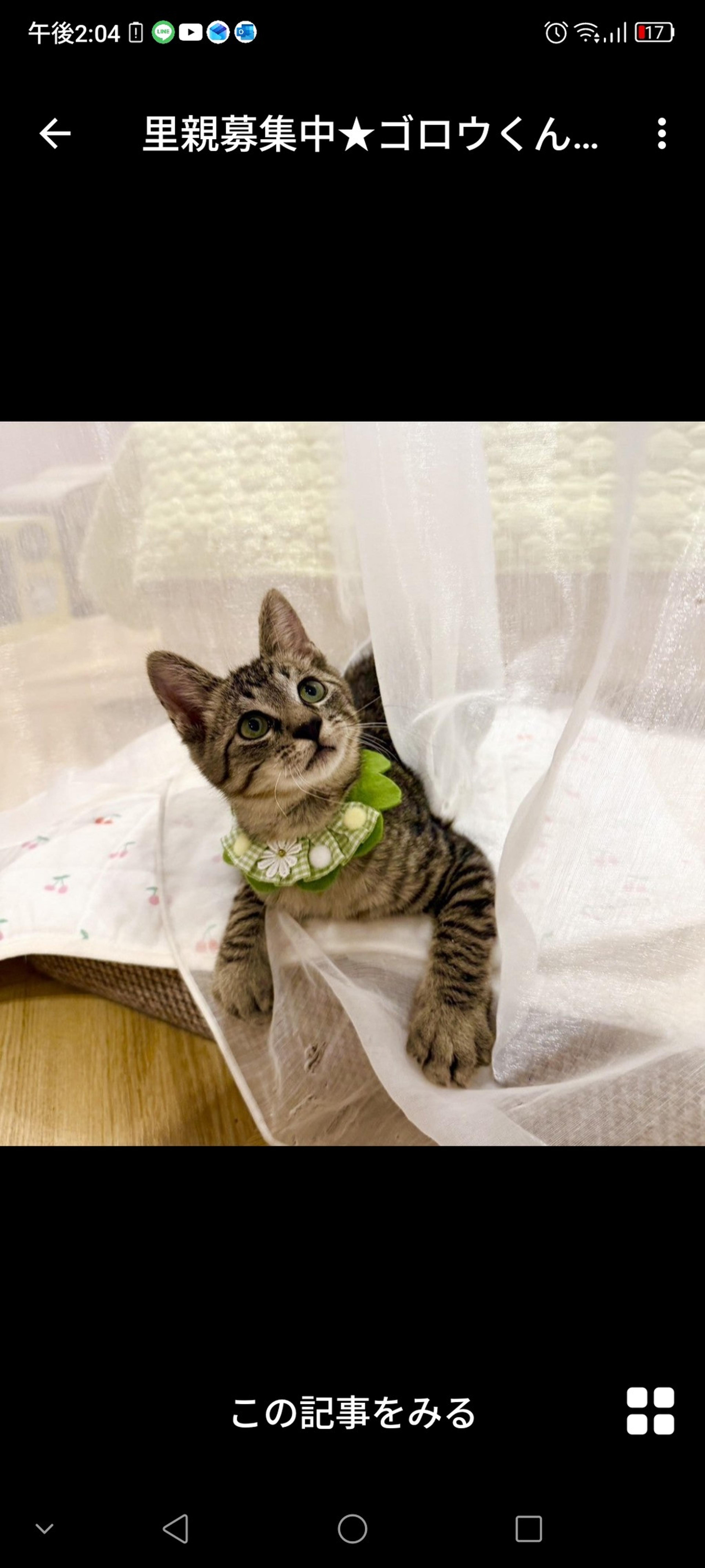 pet-image-2