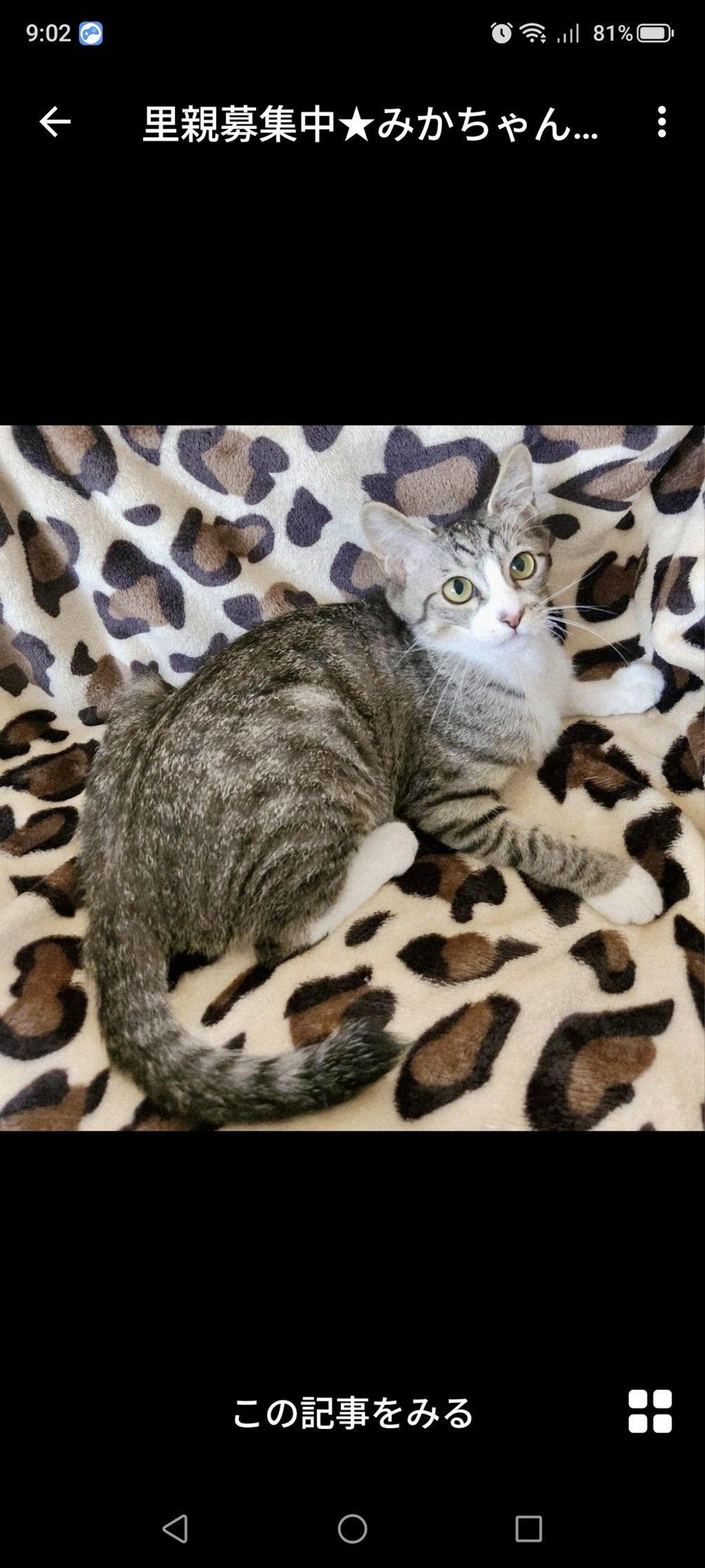 pet-image-3