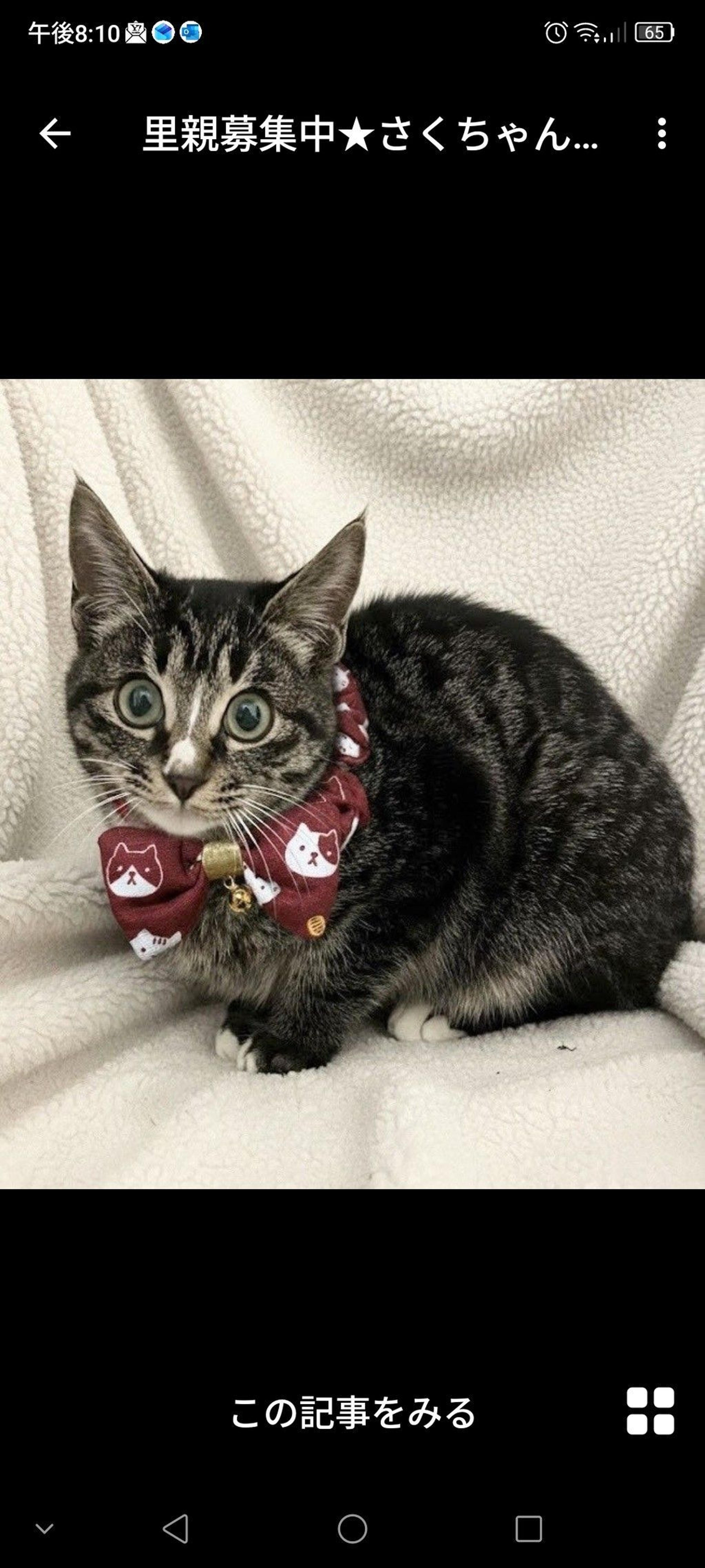 pet-image-3
