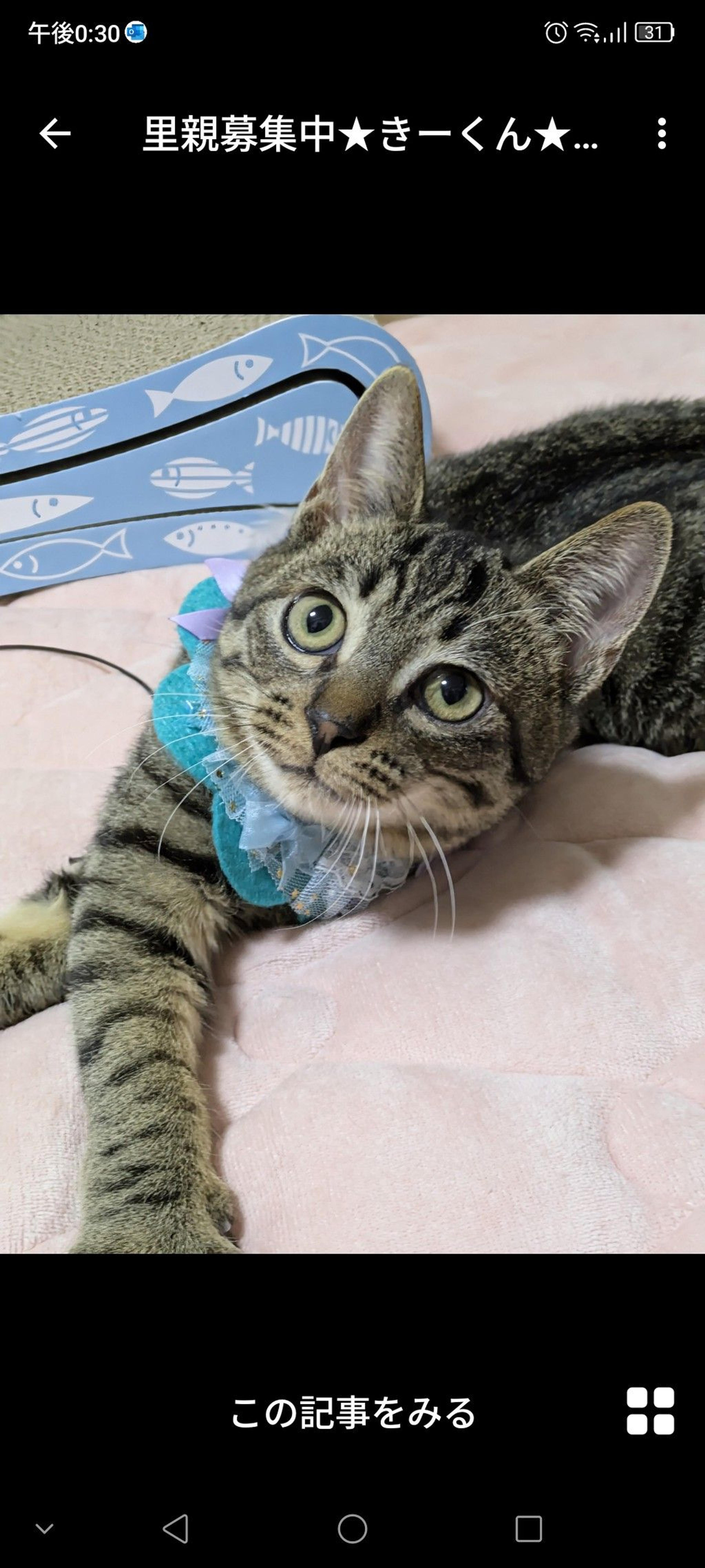 pet-image-2
