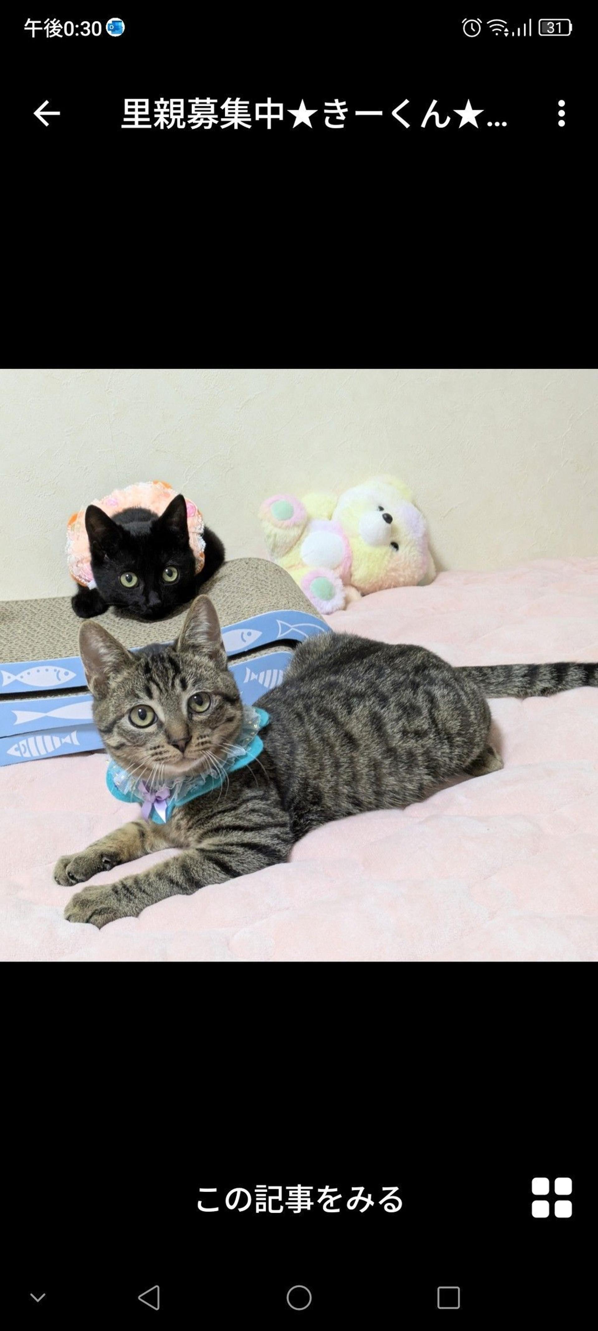 pet-image-3