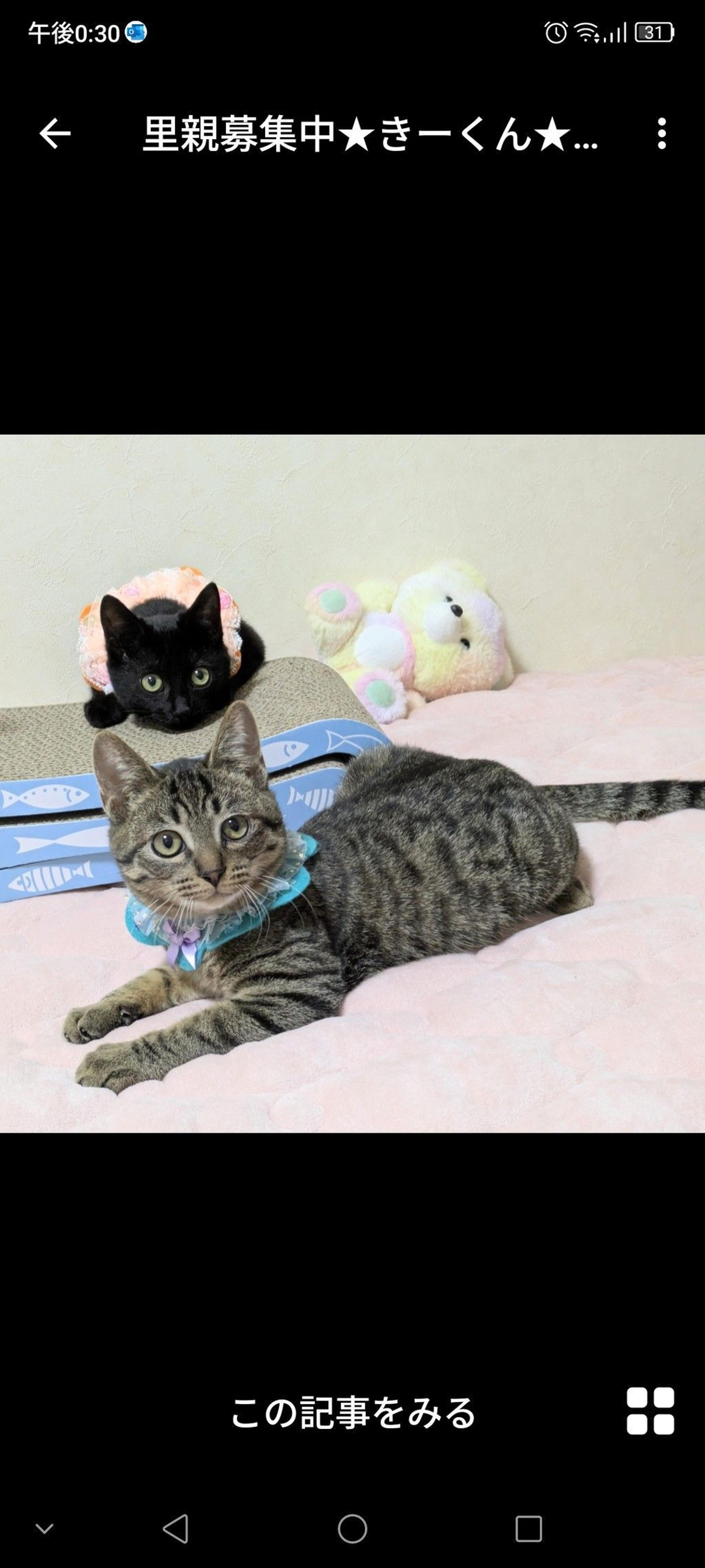 pet-image-3