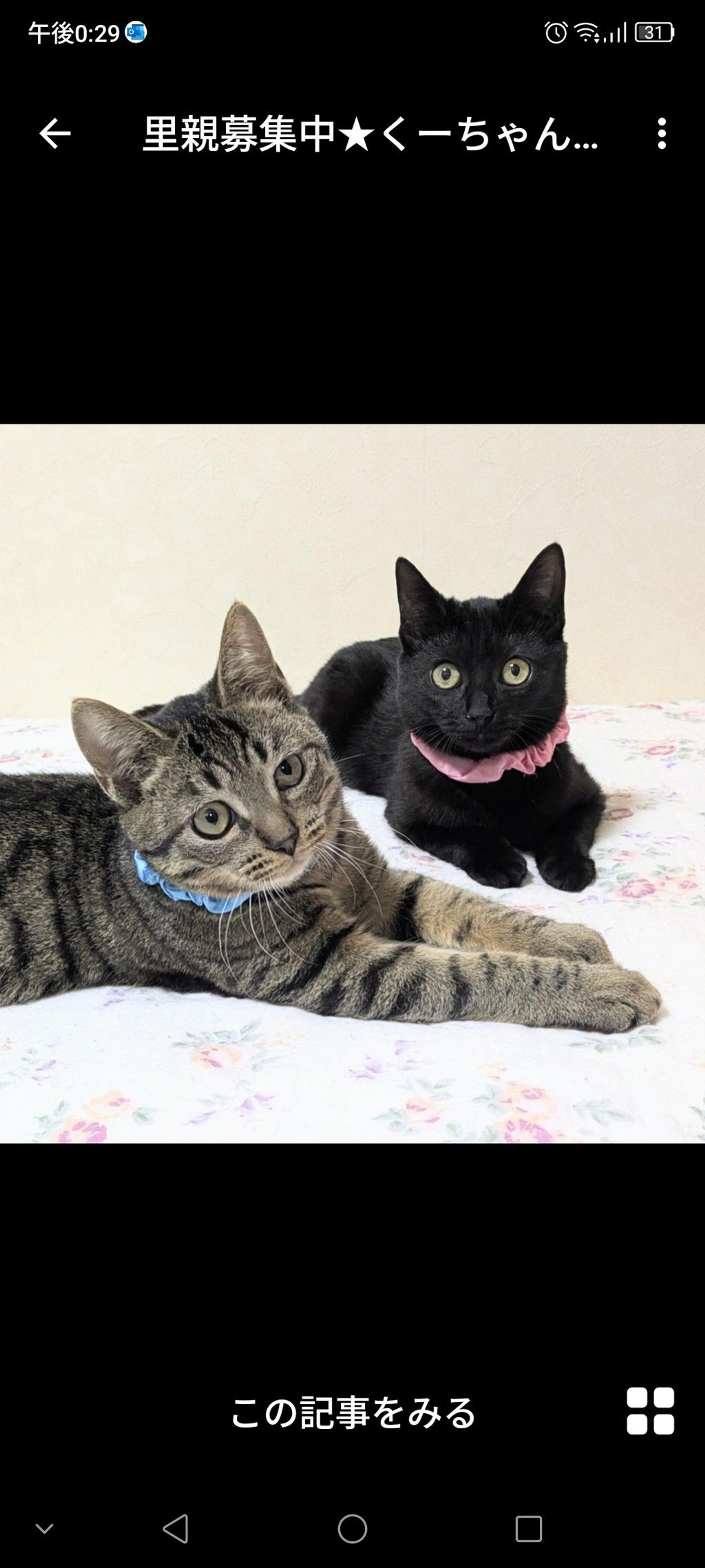 pet-image-4