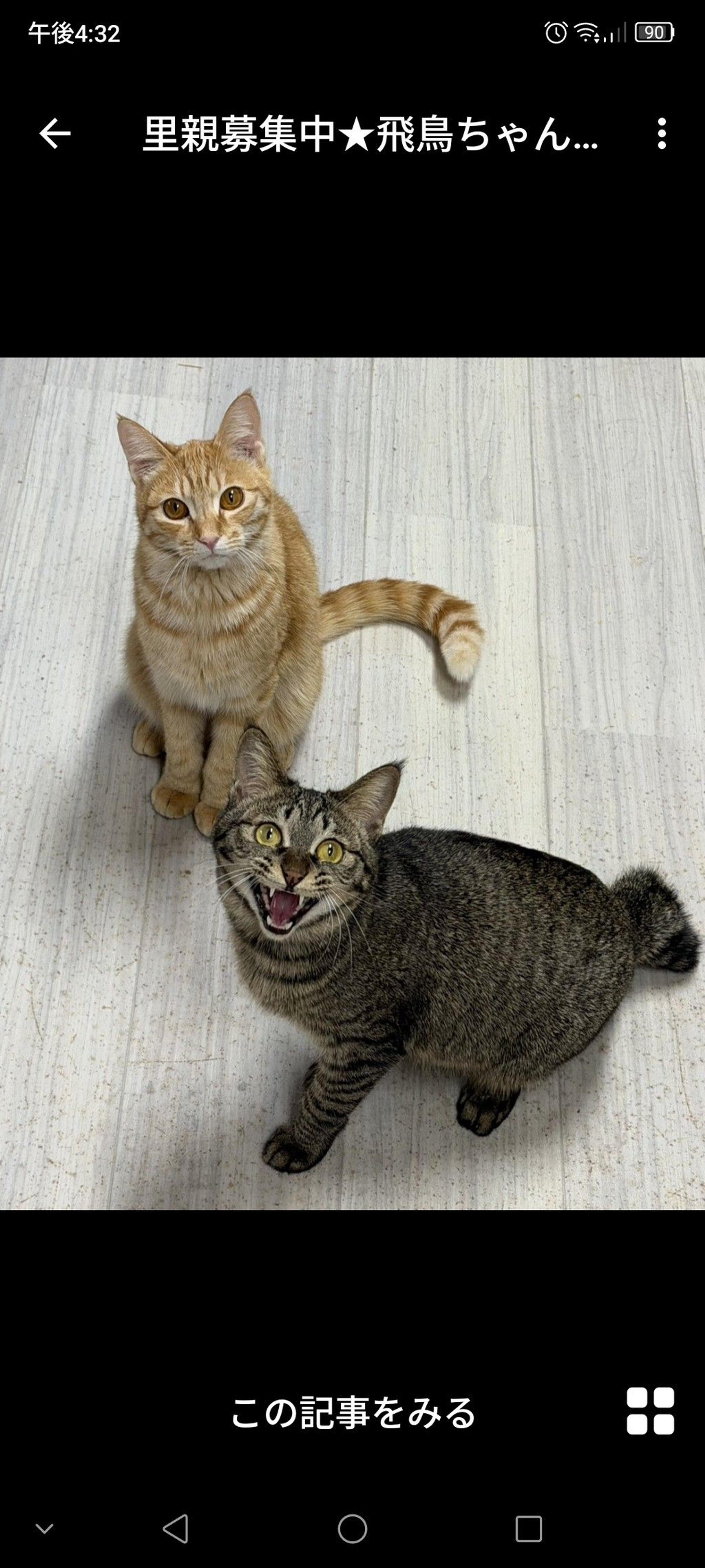 pet-image-2