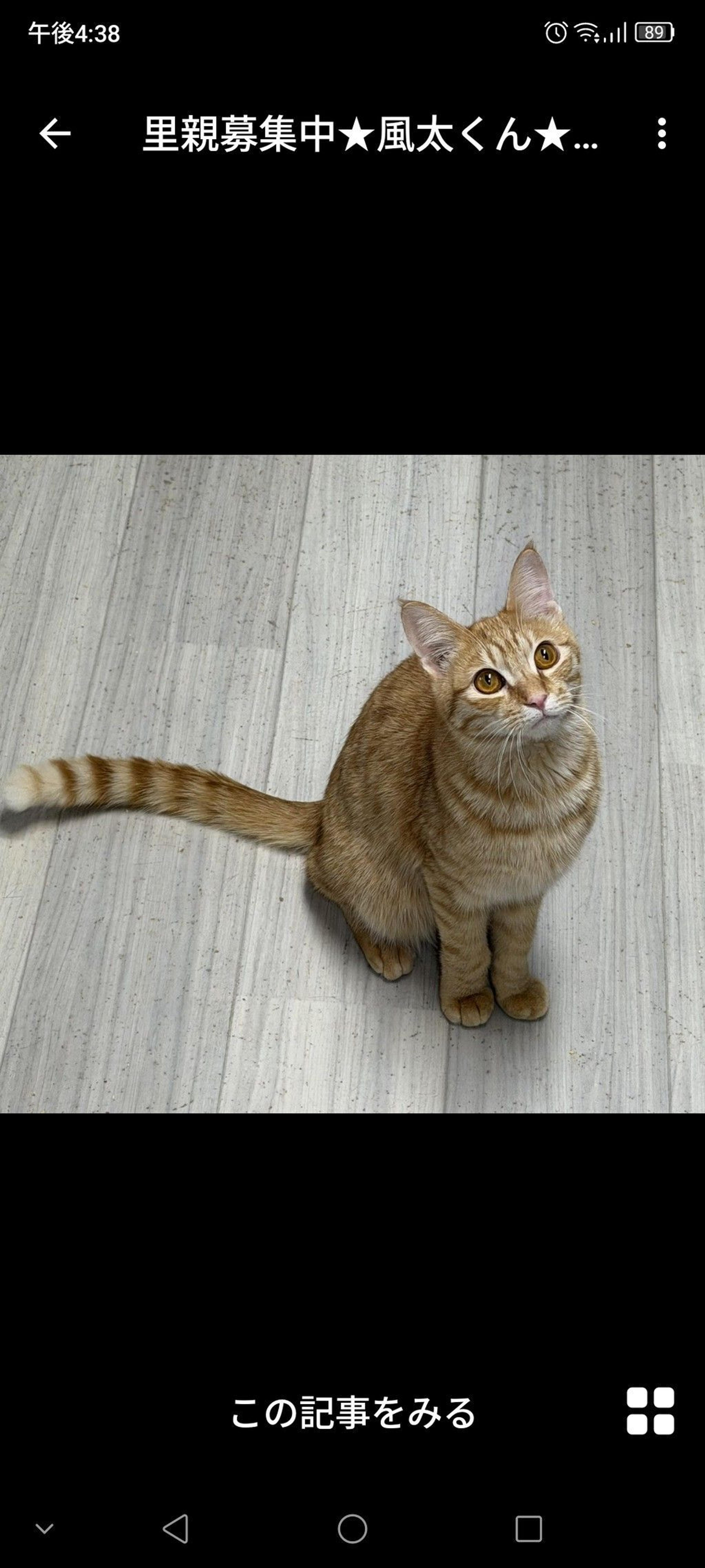 pet-image-3