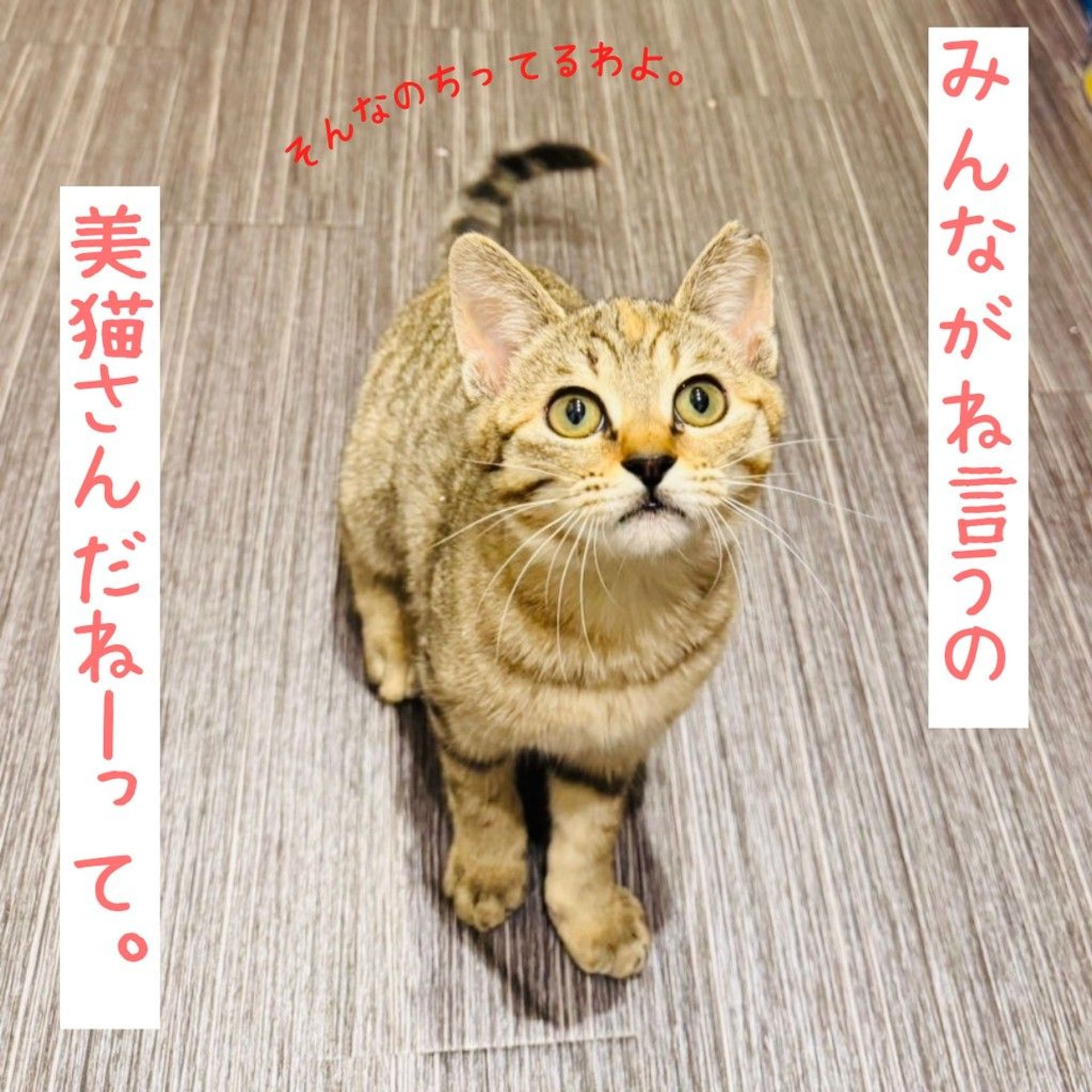 thumbnail-5
