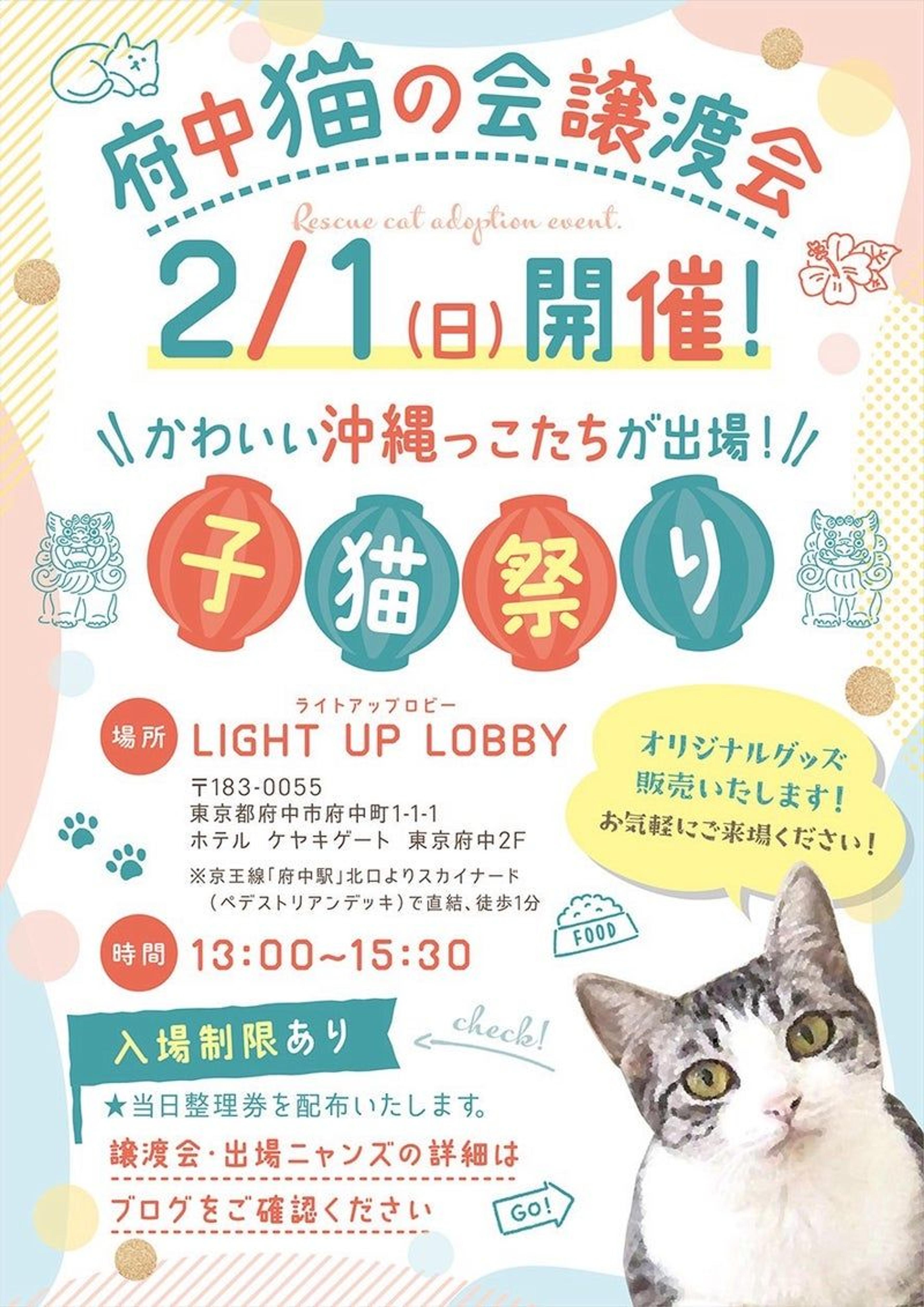 pet-image-5