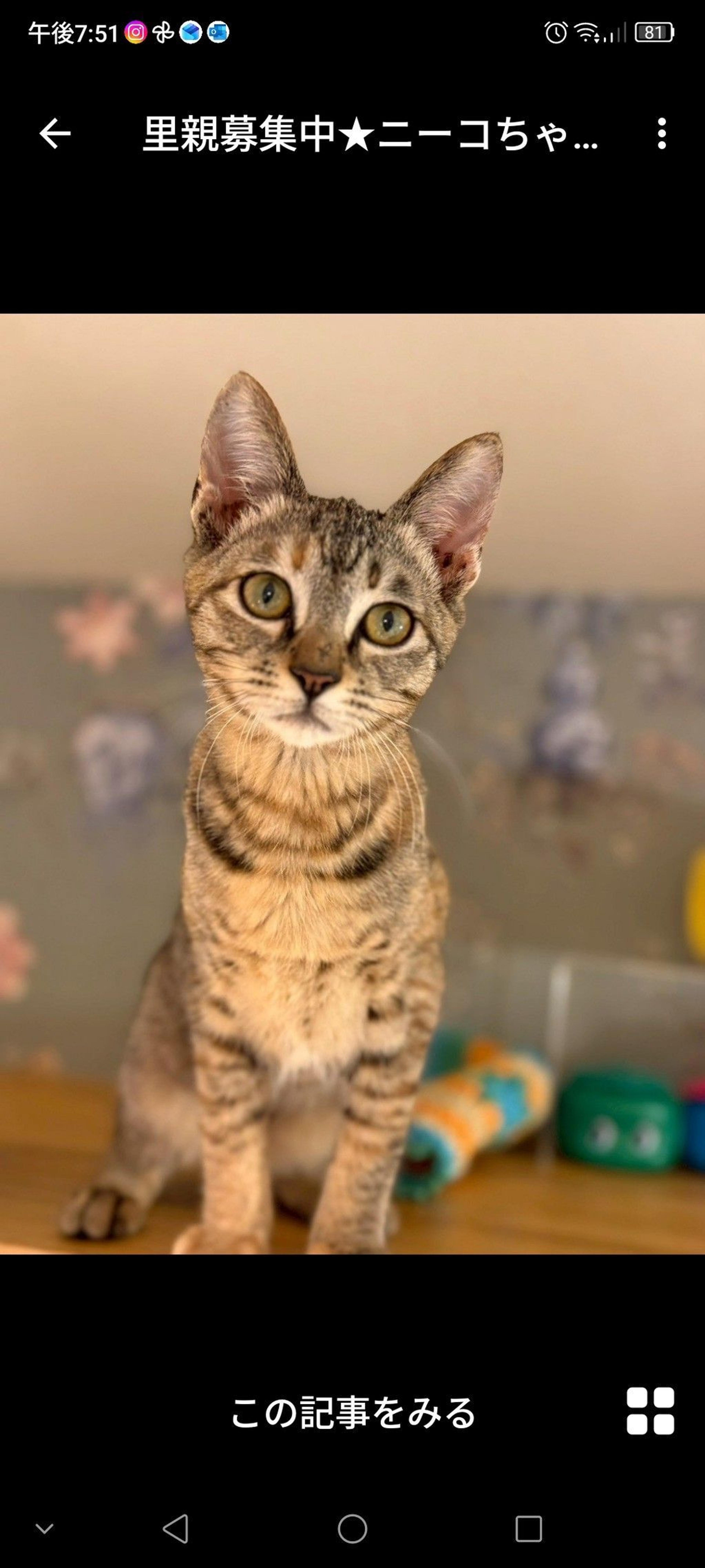 pet-image-2