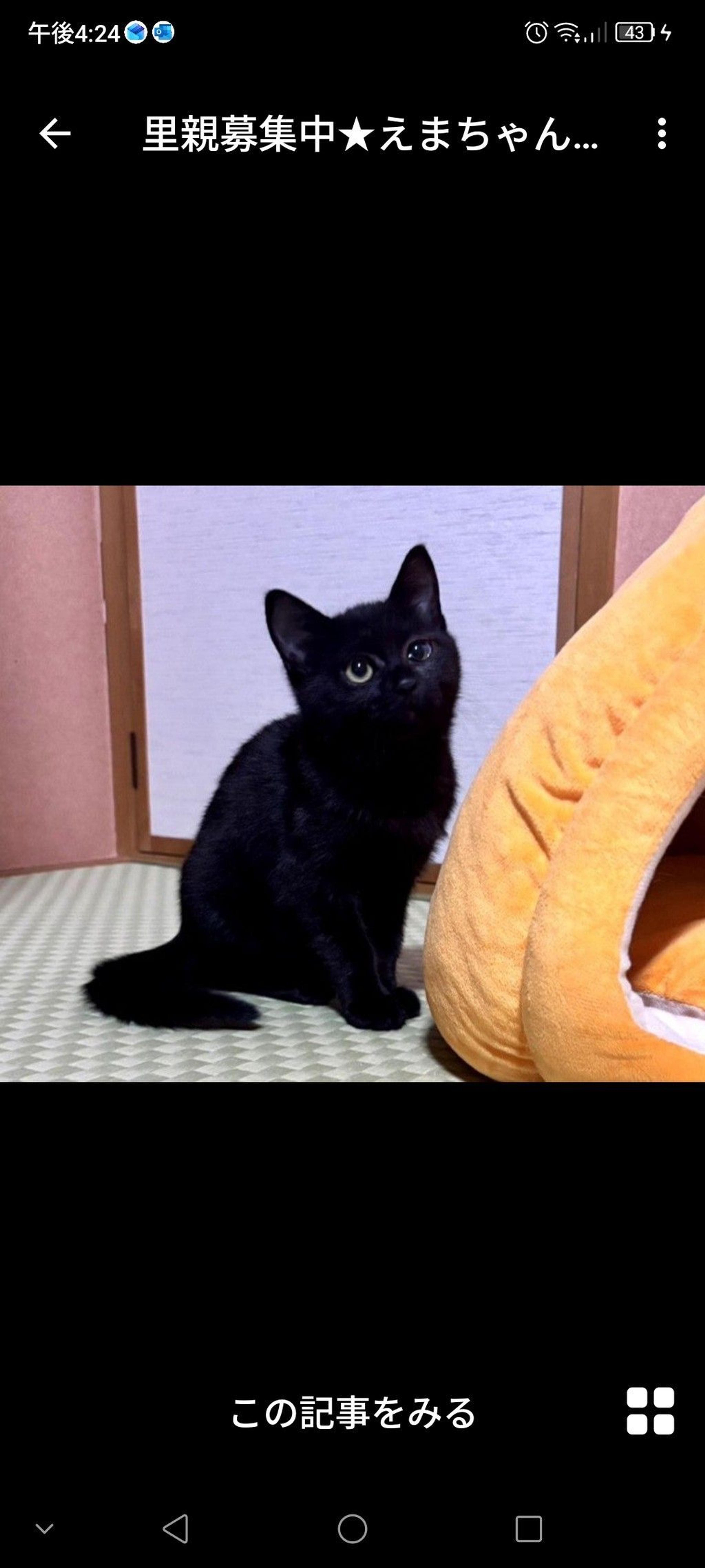 pet-image-3