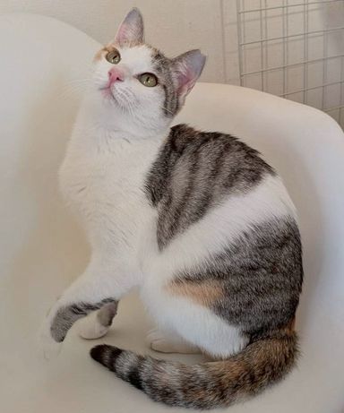 とぅららの写真