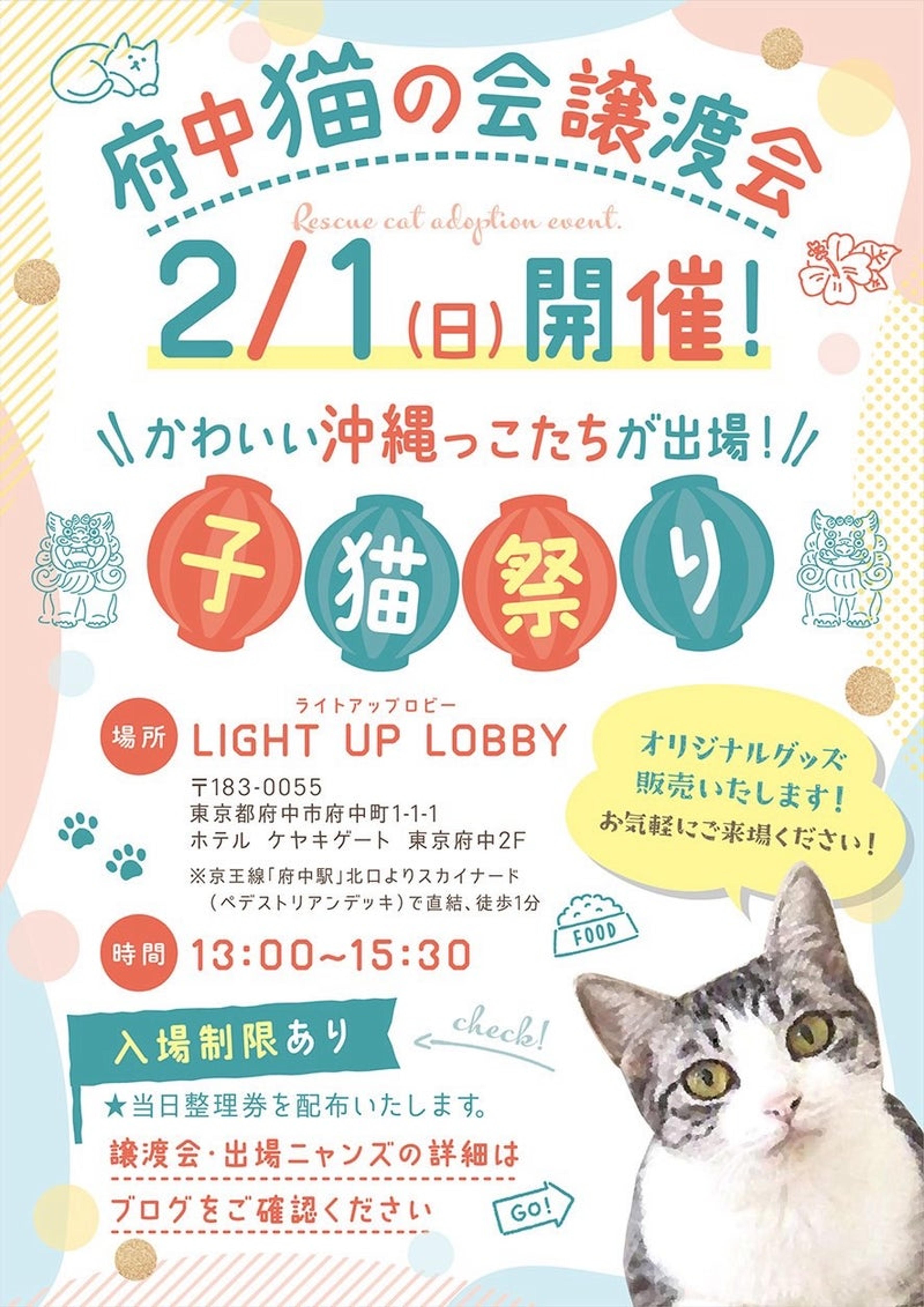 pet-image-5