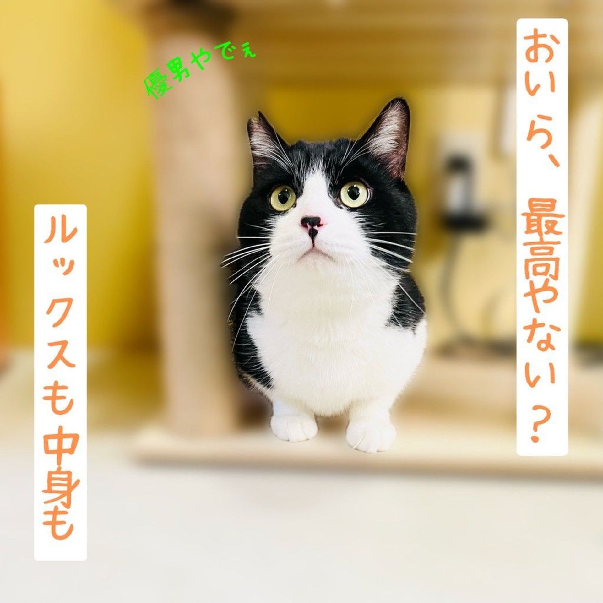 thumbnail-4