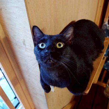 ゆうの写真