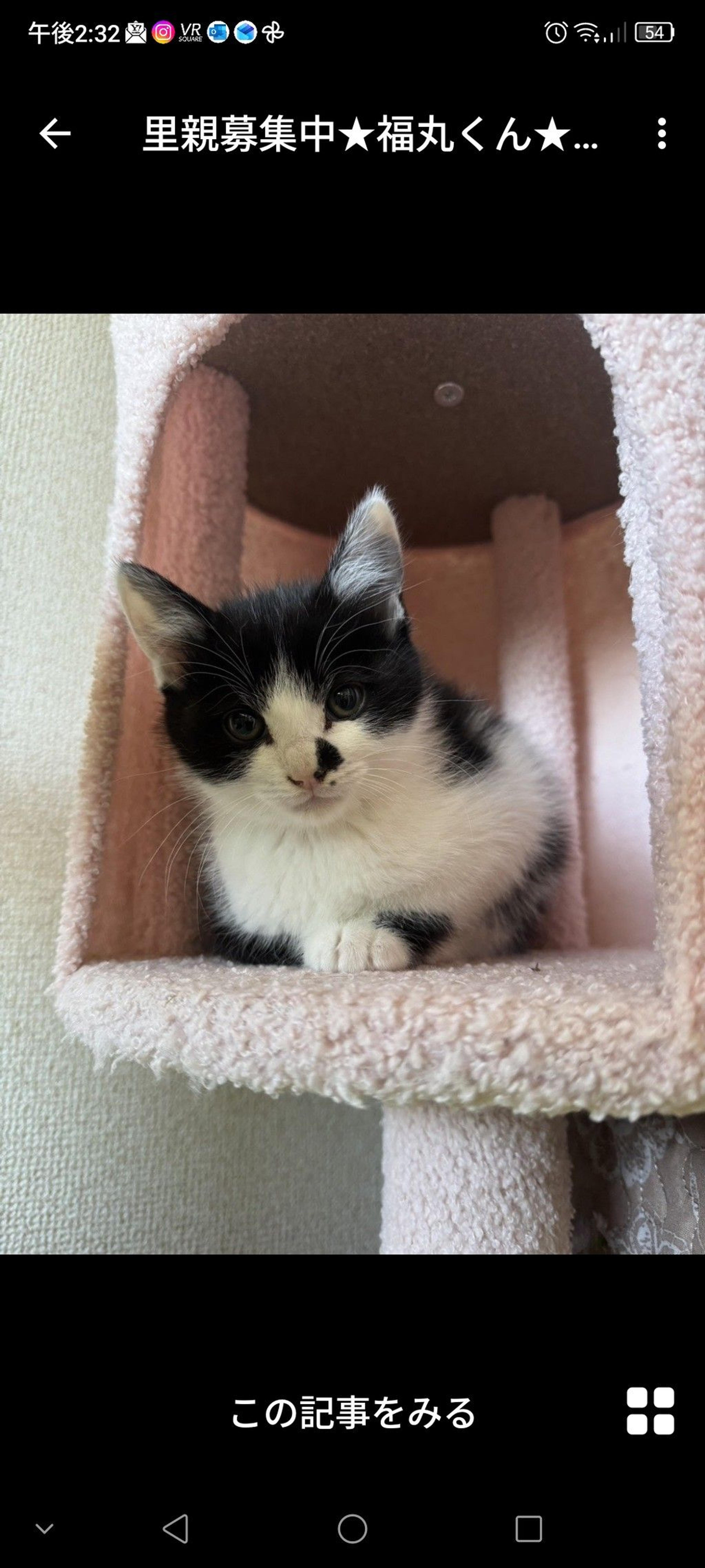 pet-image-2