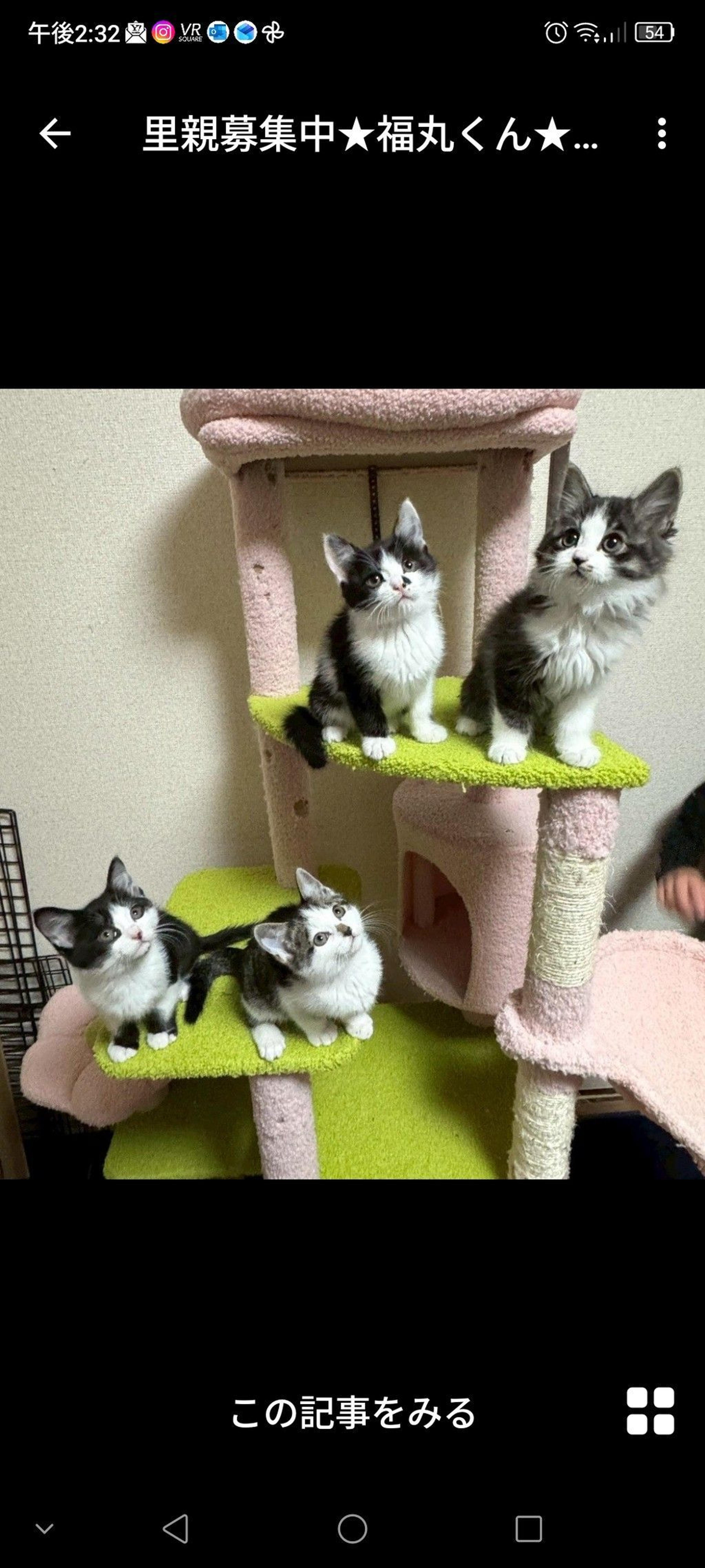 pet-image-3
