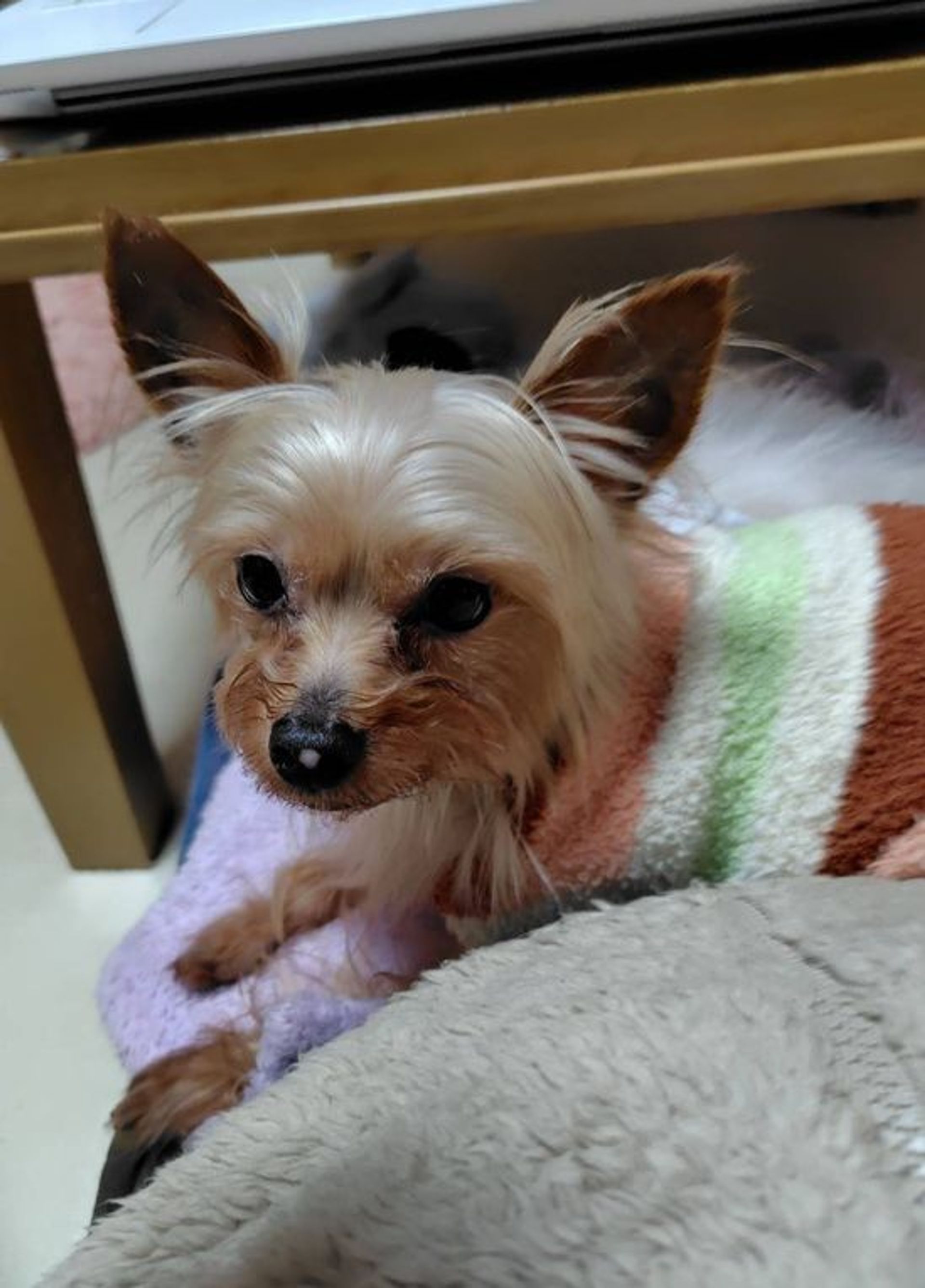 thumbnail-3