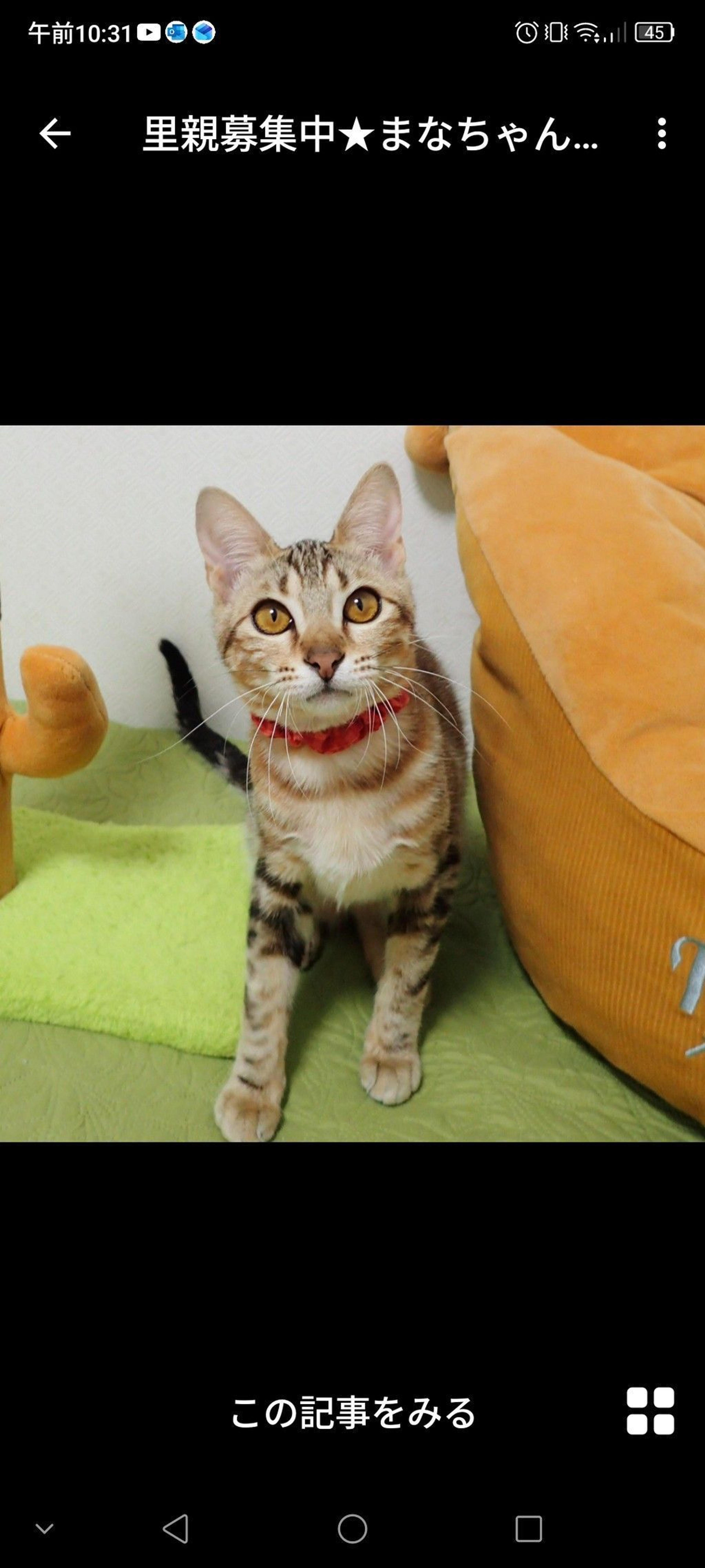 pet-image-2