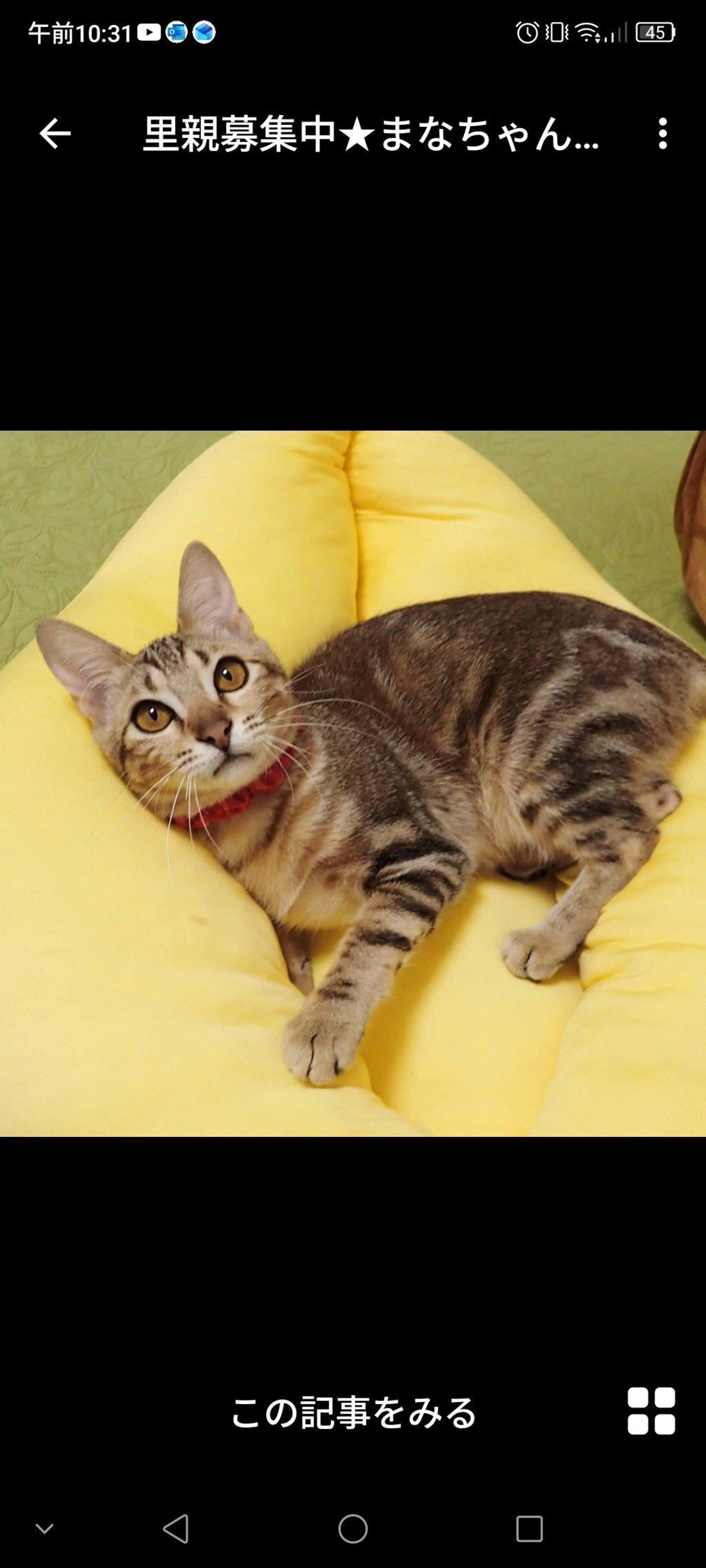 pet-image-3