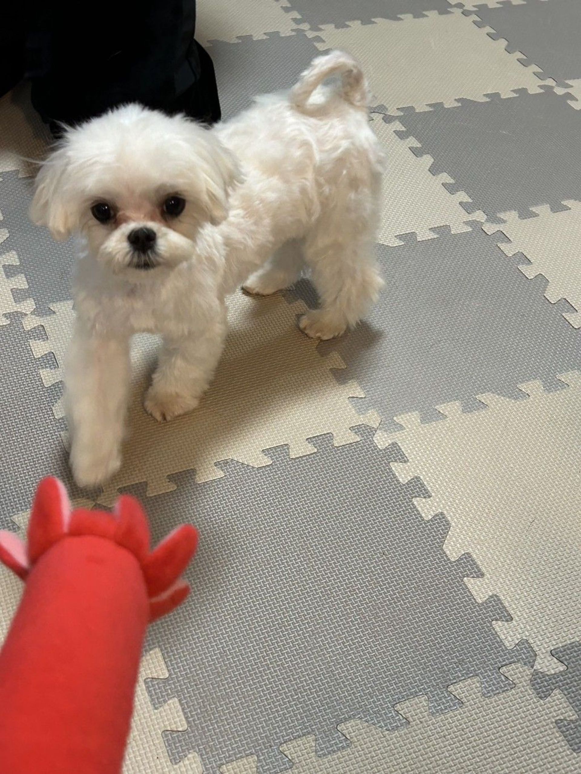 thumbnail-3