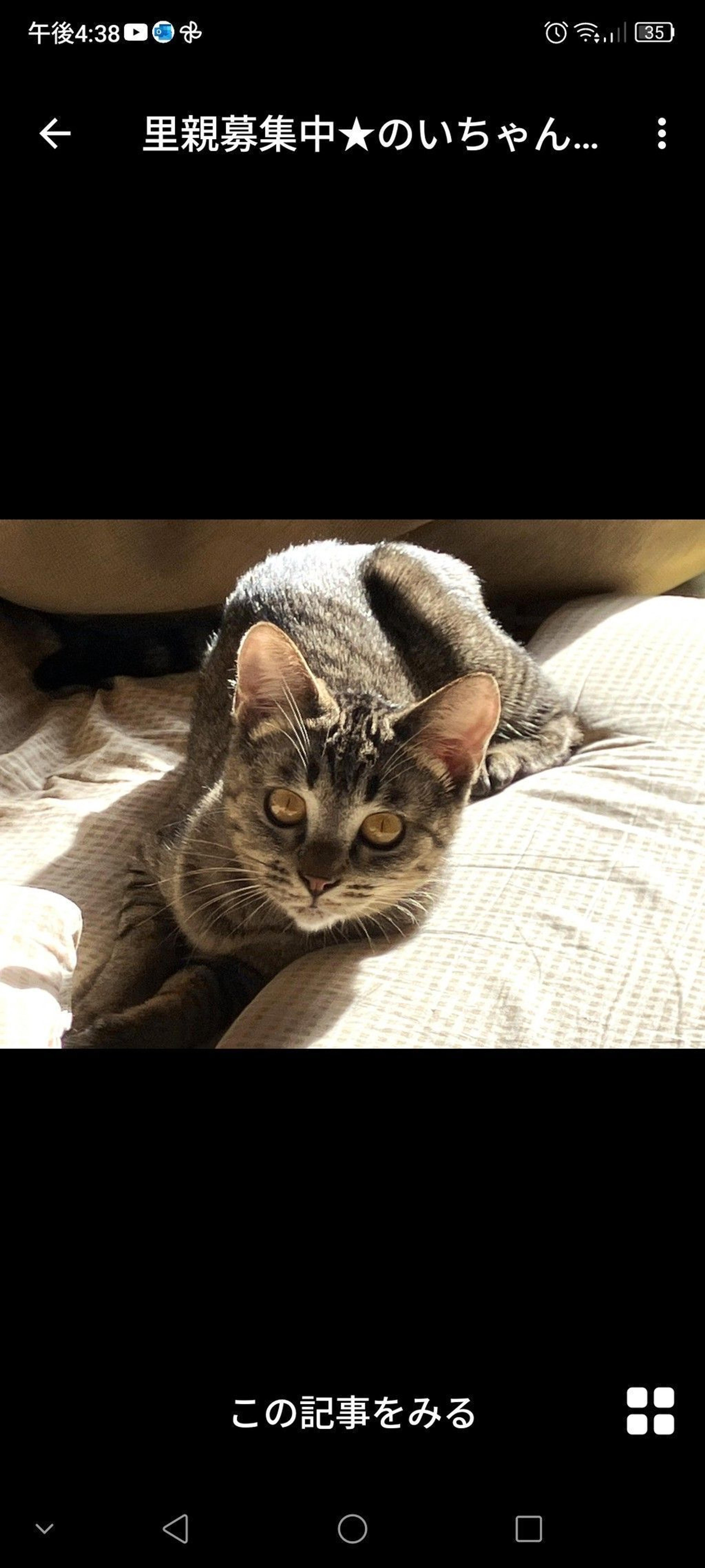 pet-image-2
