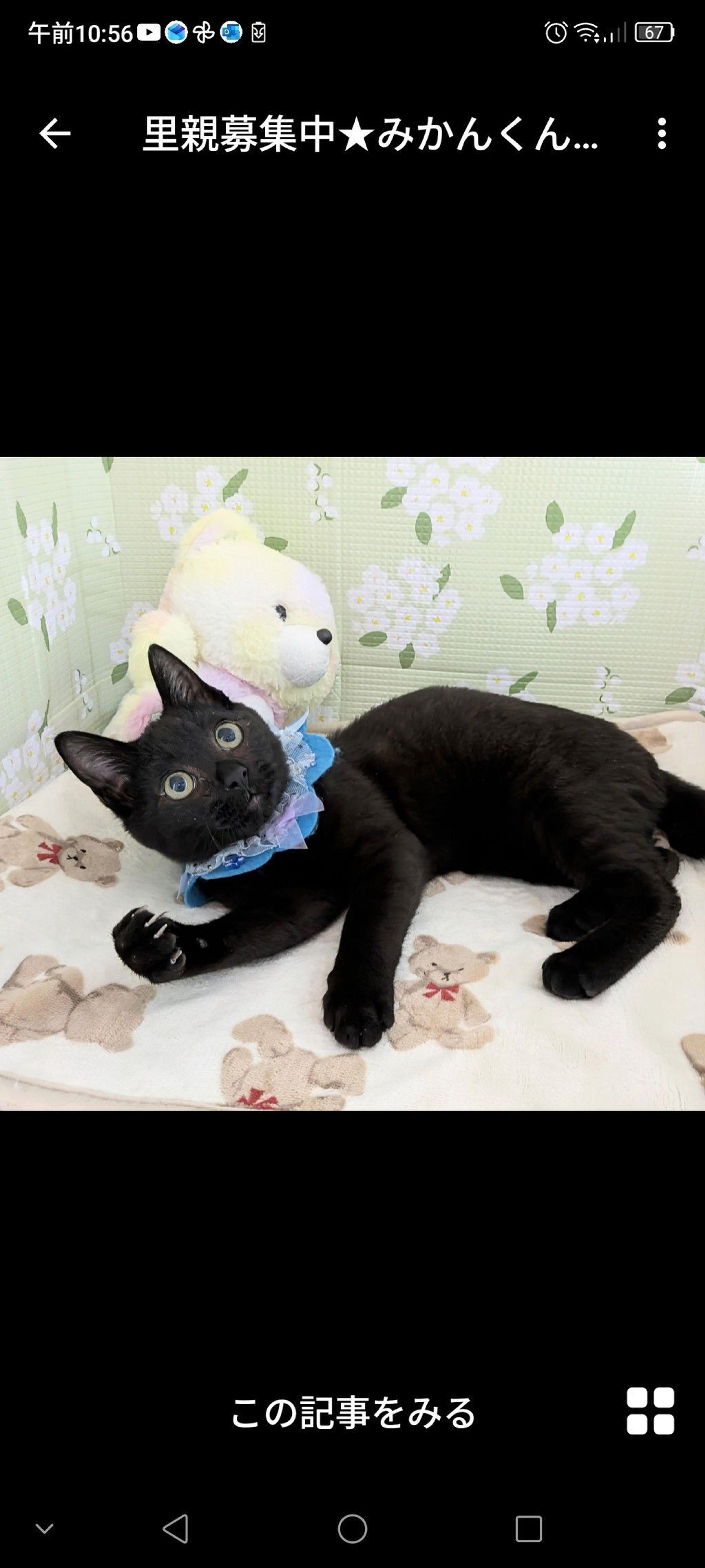 pet-image-3