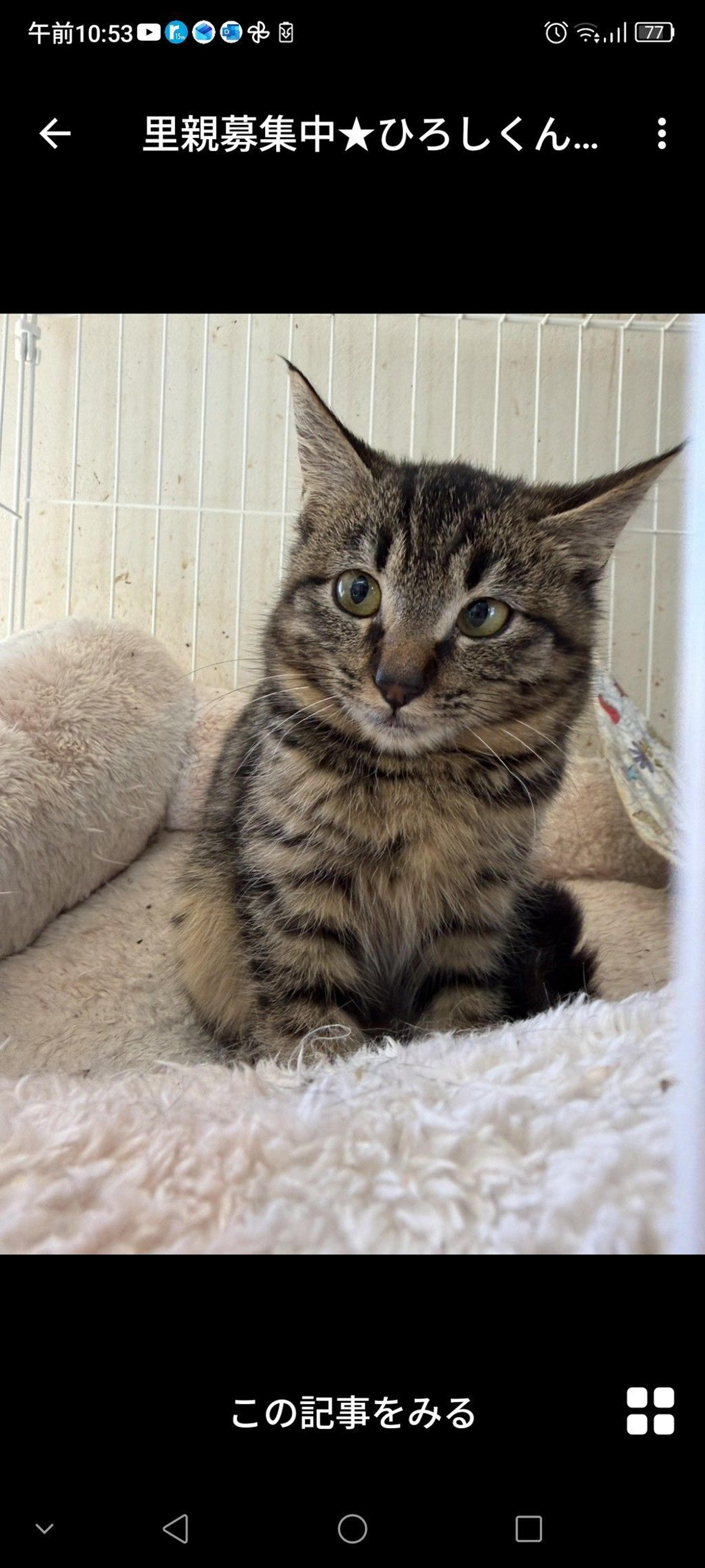 pet-image-2