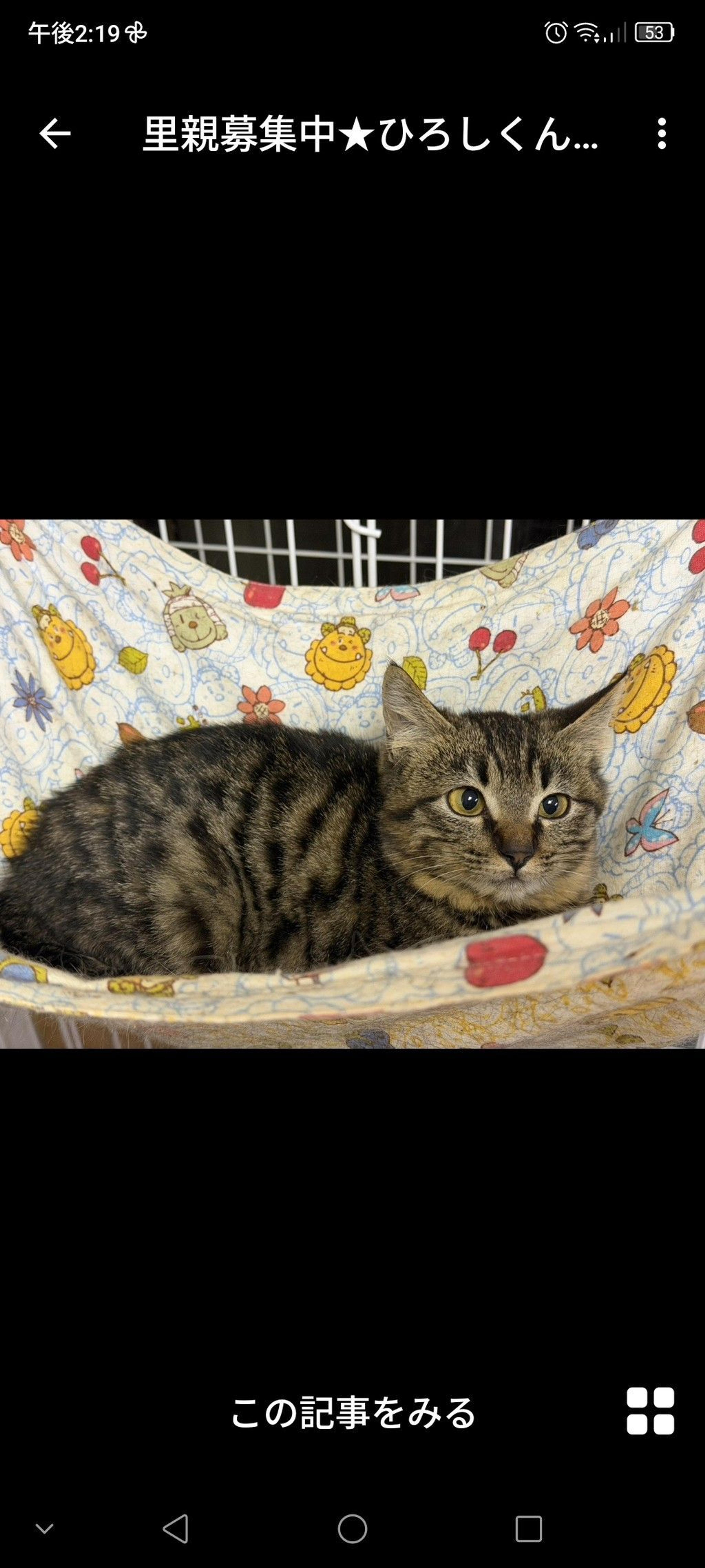 pet-image-3