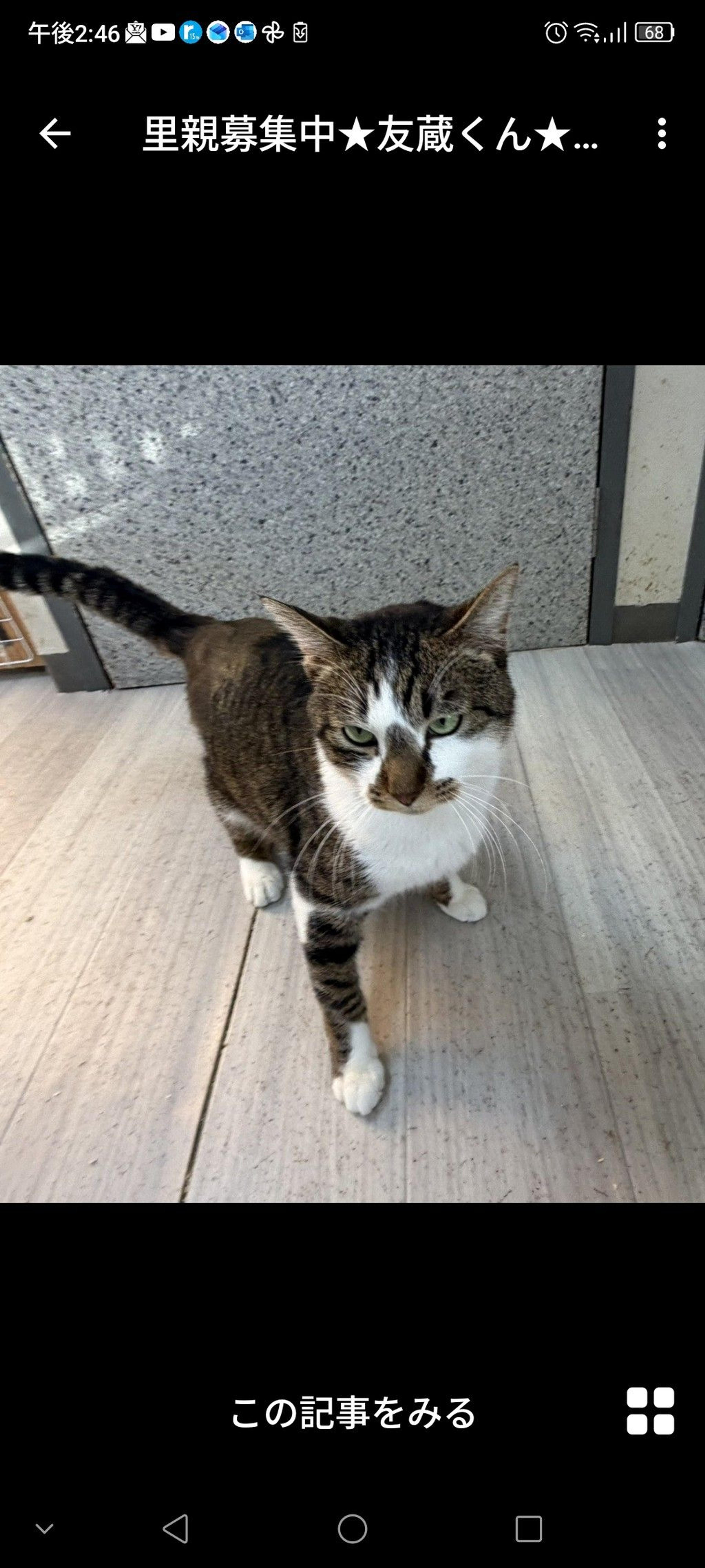 pet-image-2