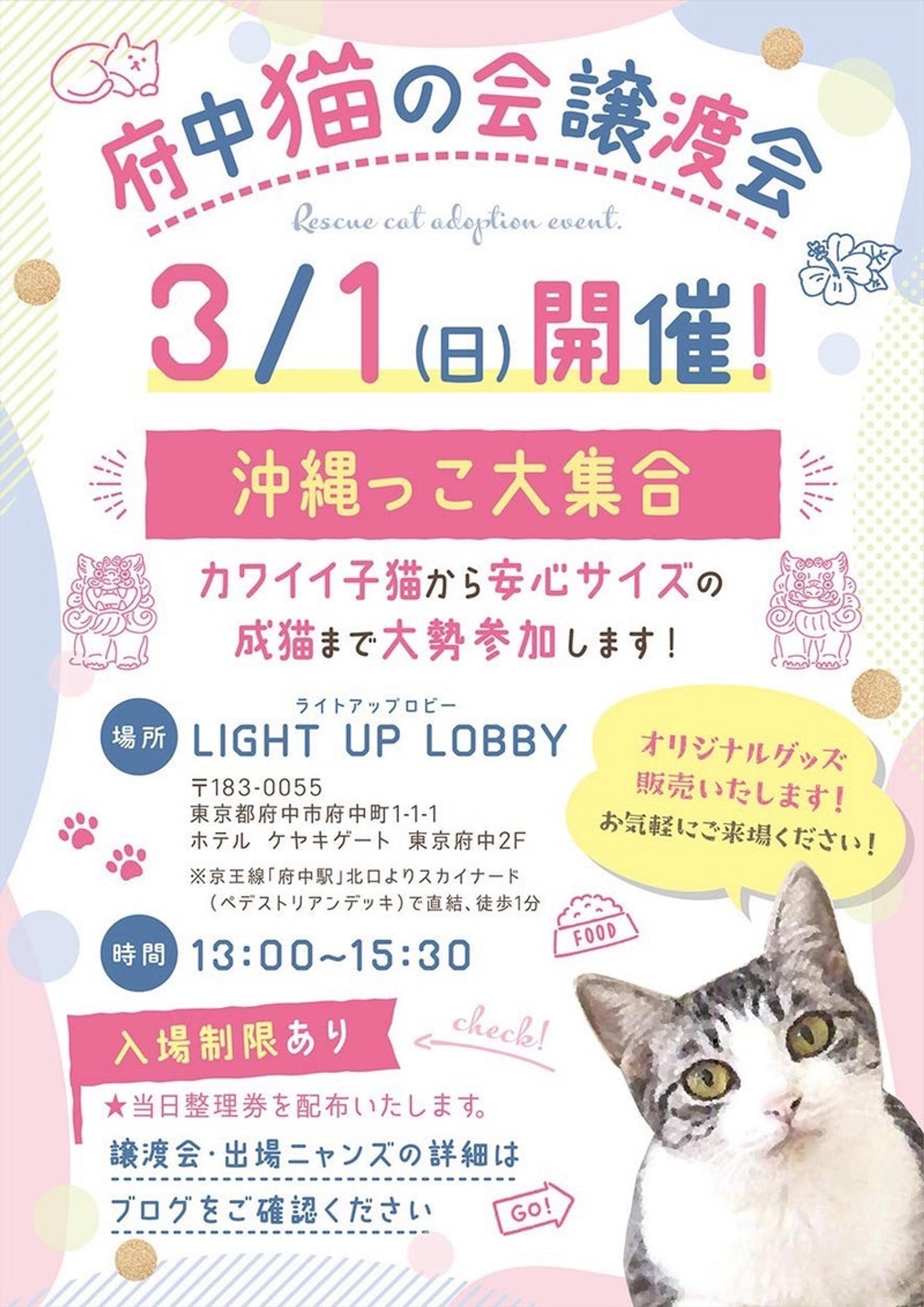 pet-image-7