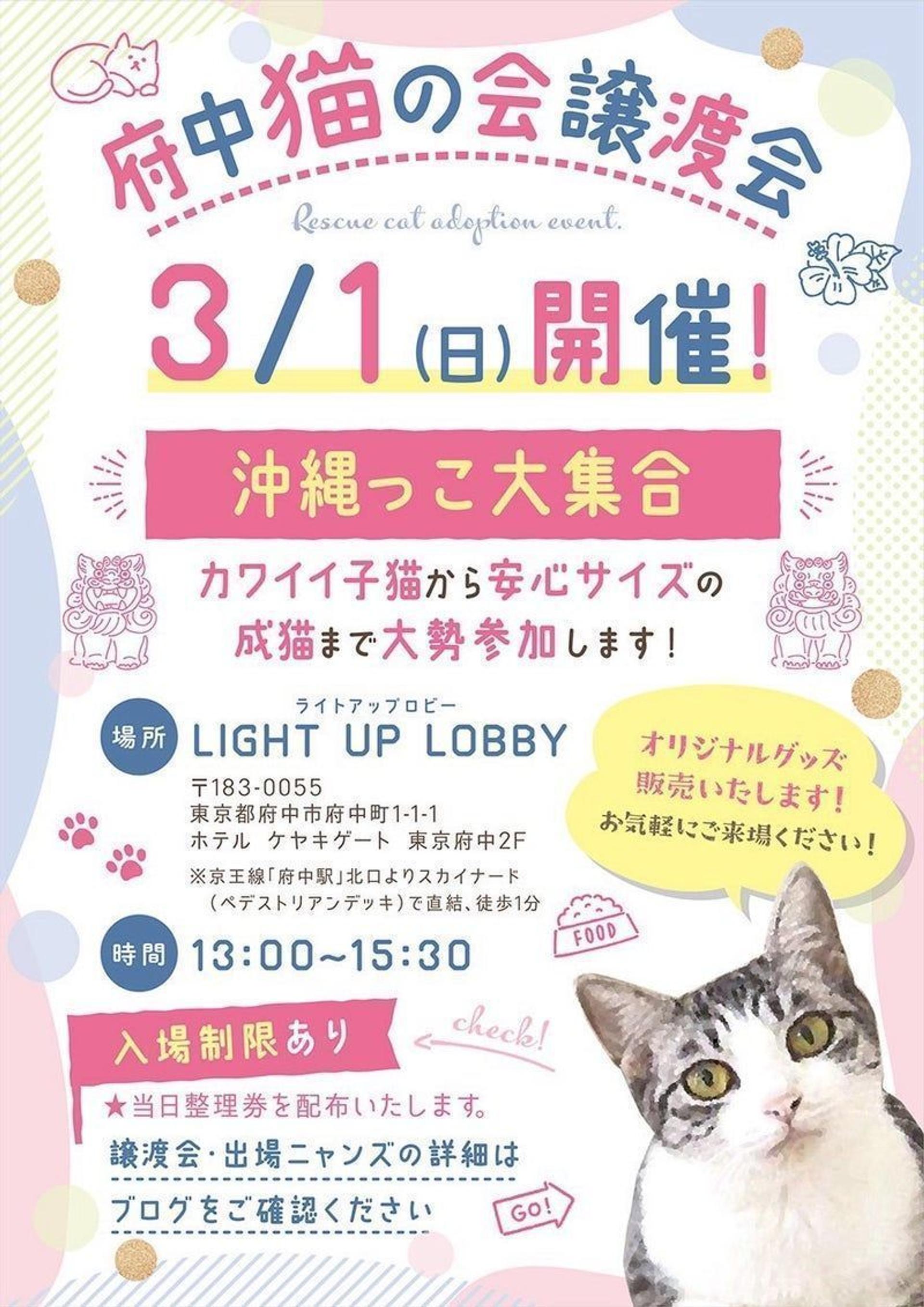 pet-image-5