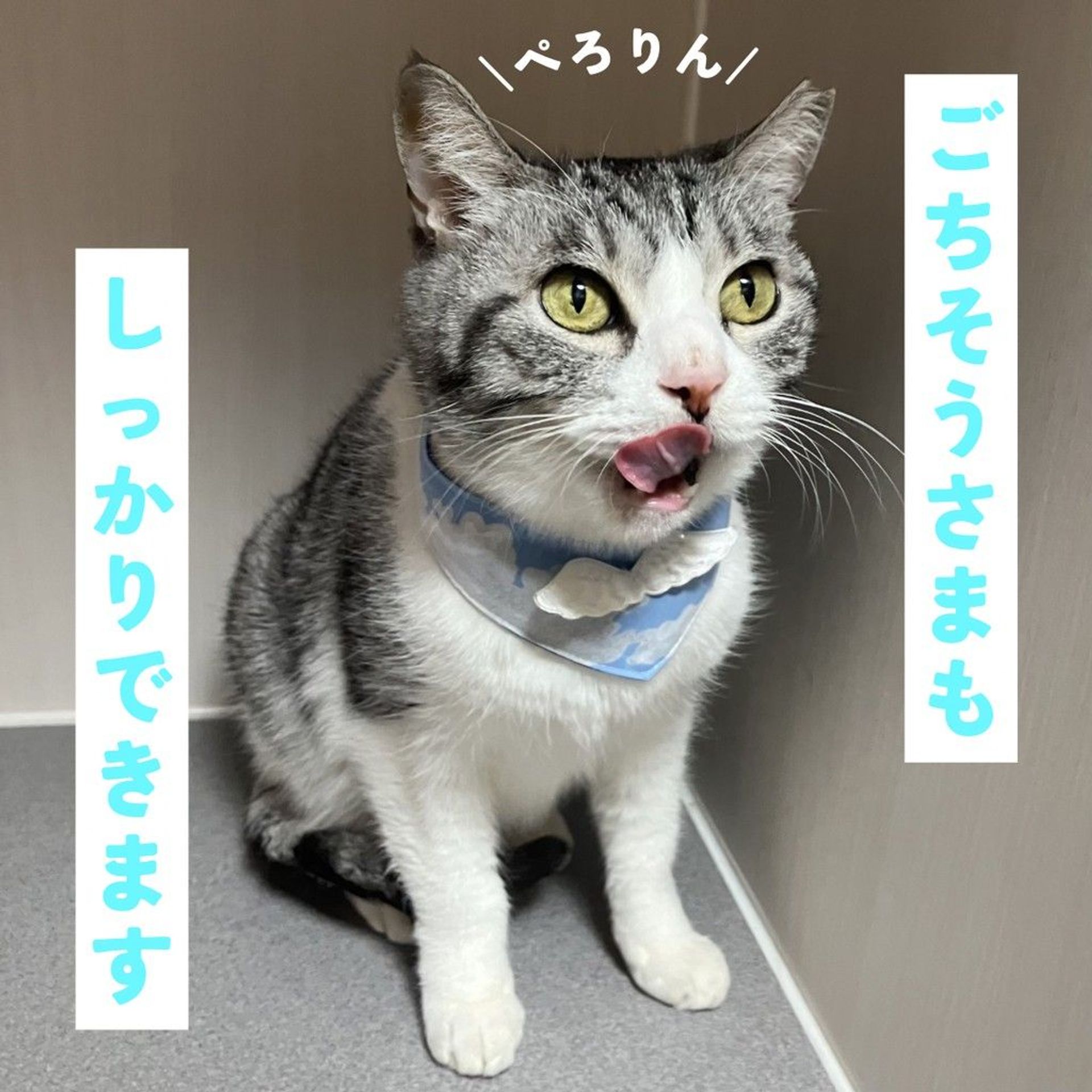 thumbnail-5