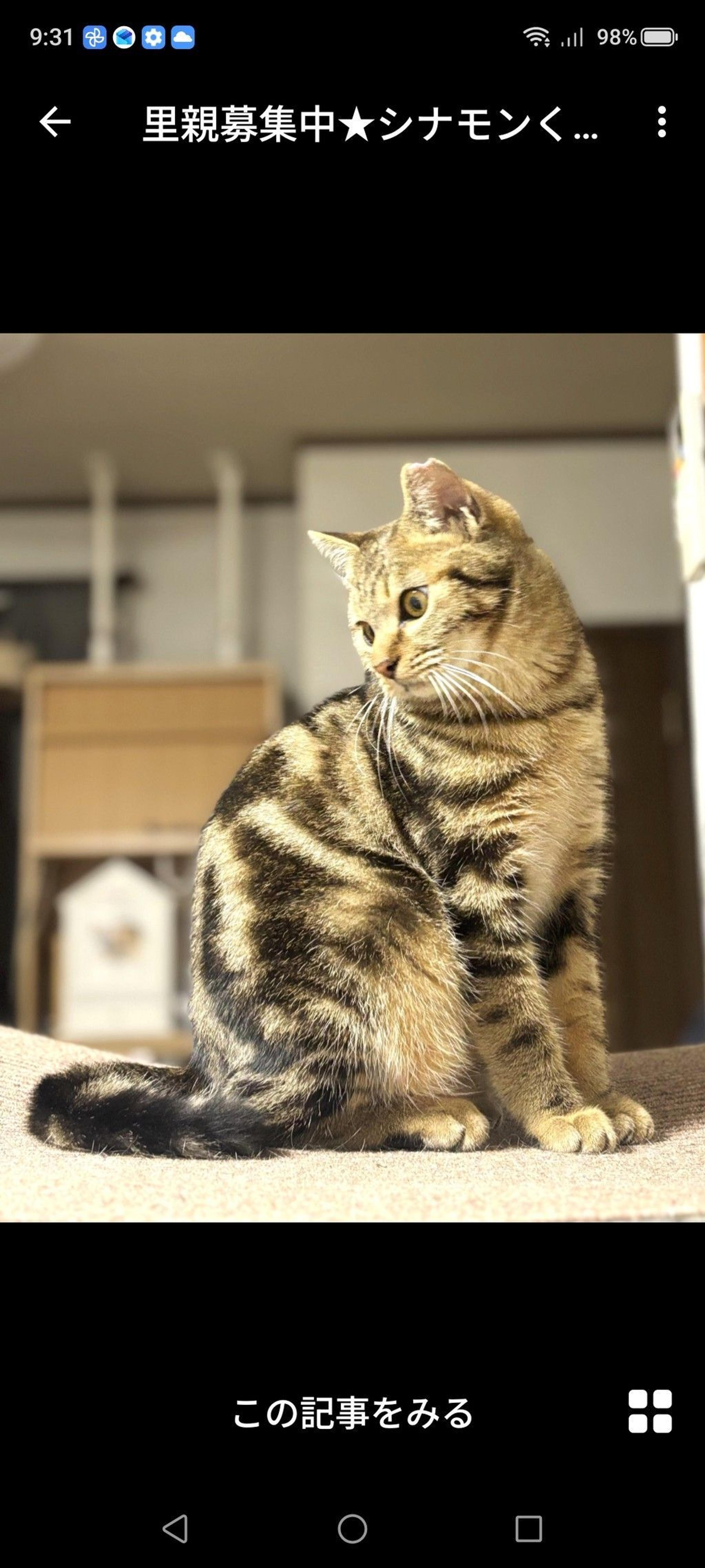 pet-image-2