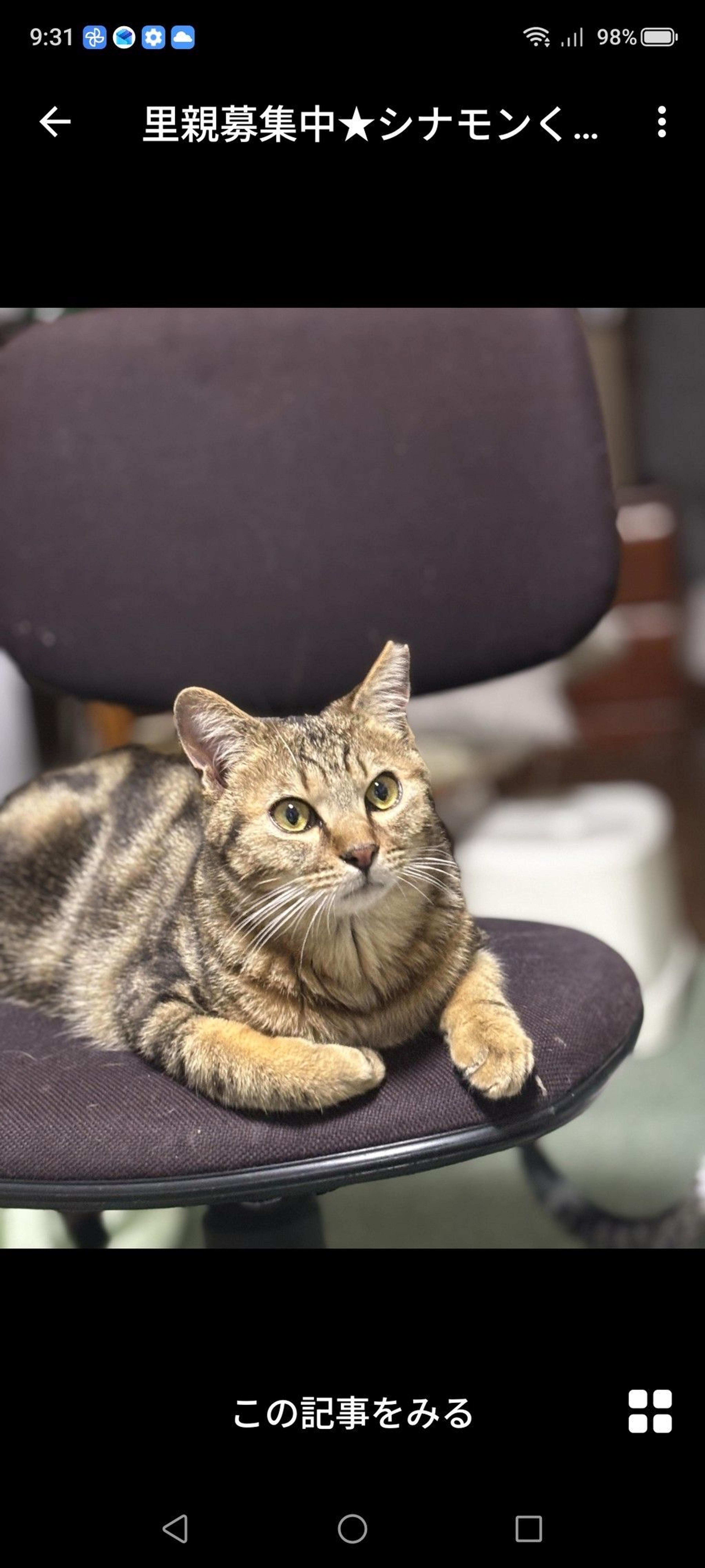 pet-image-3