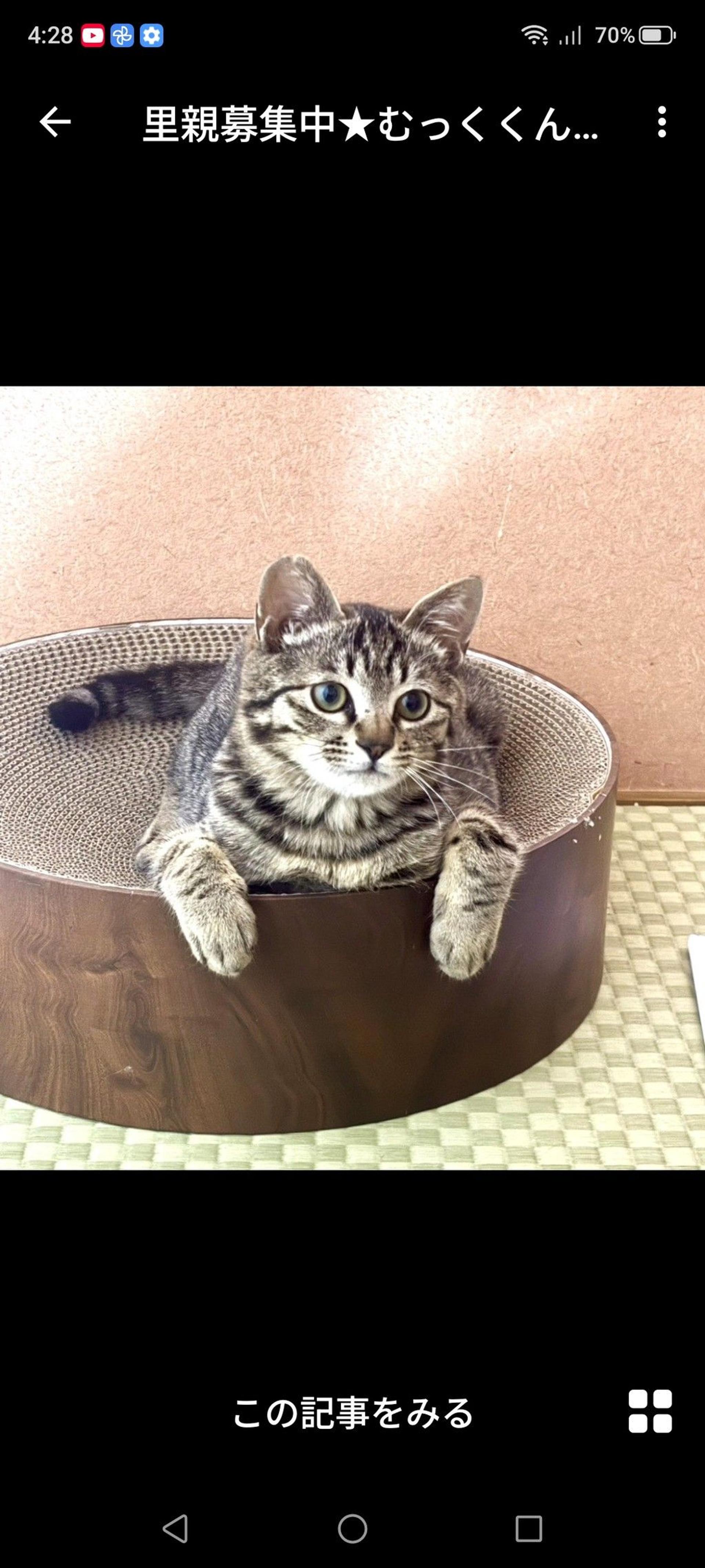 pet-image-2