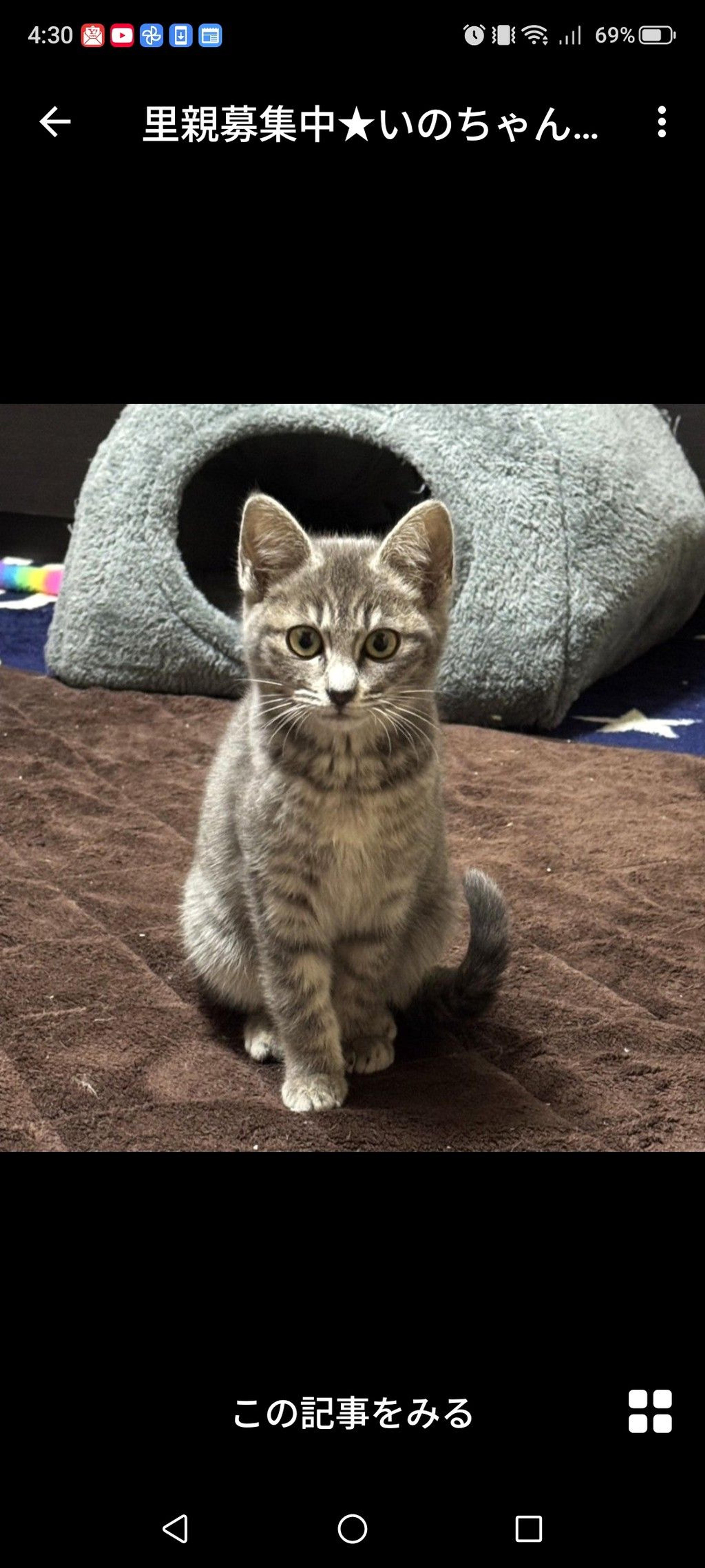 pet-image-2