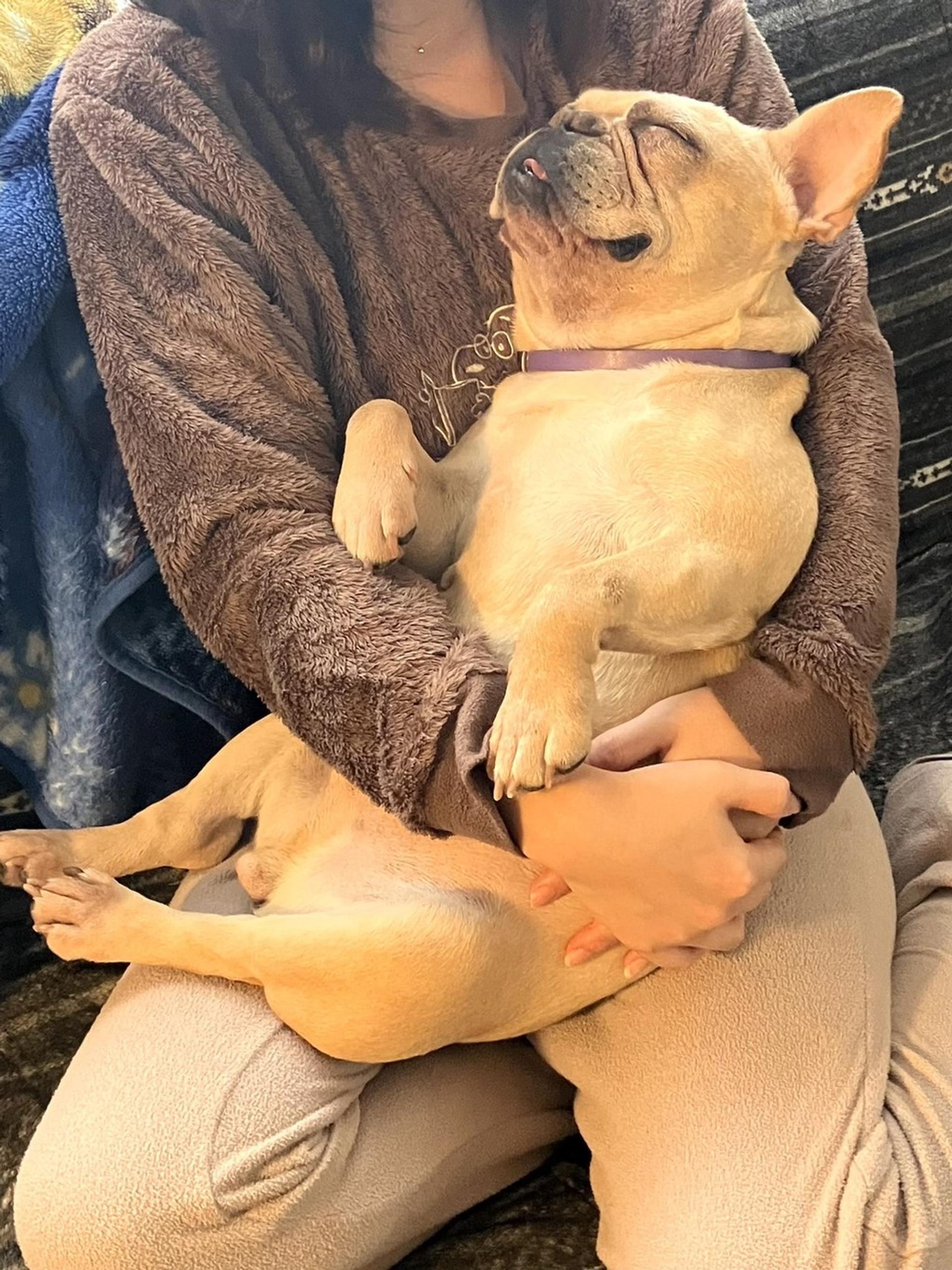 pet-image-9