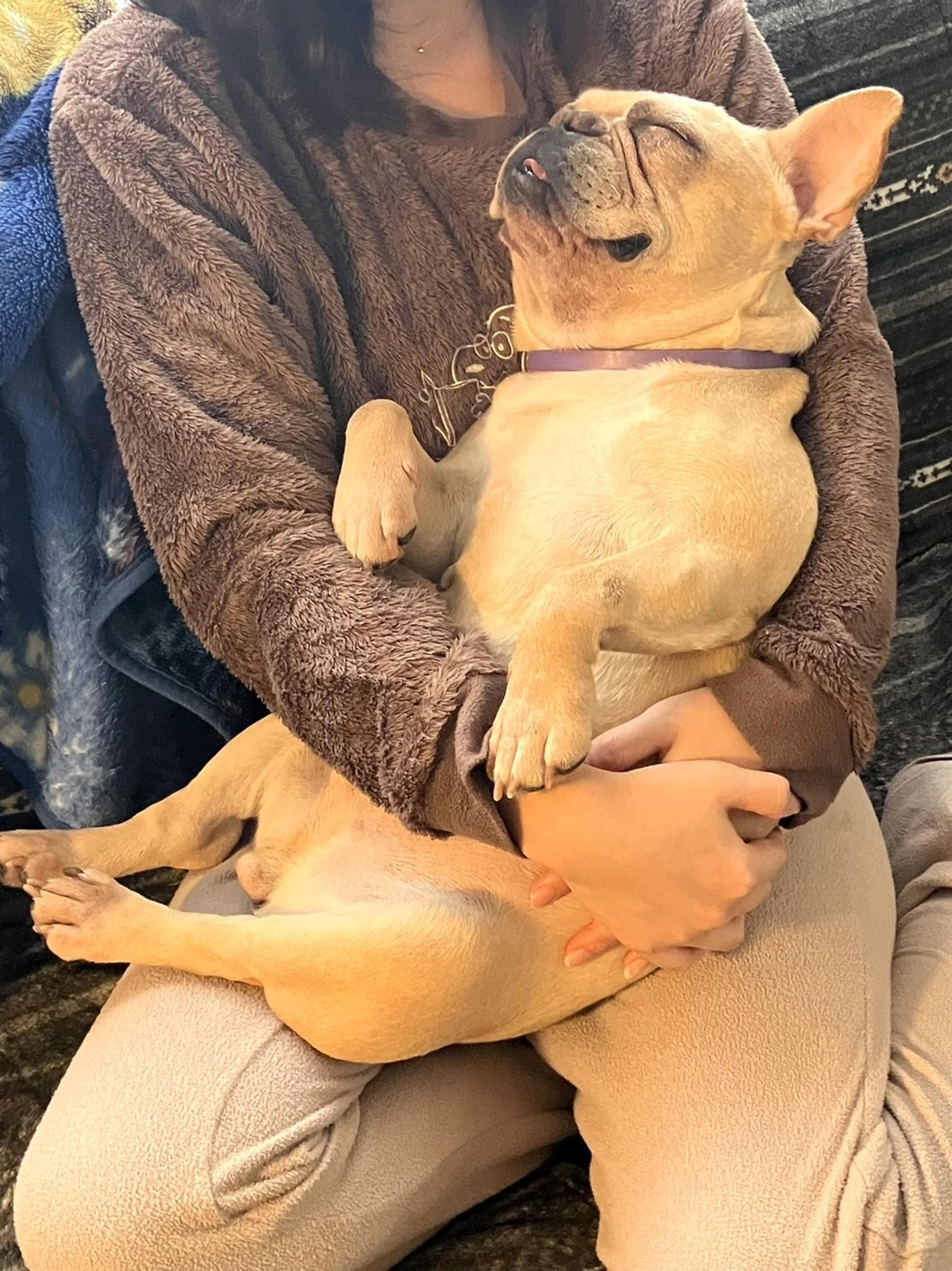 pet-image-9