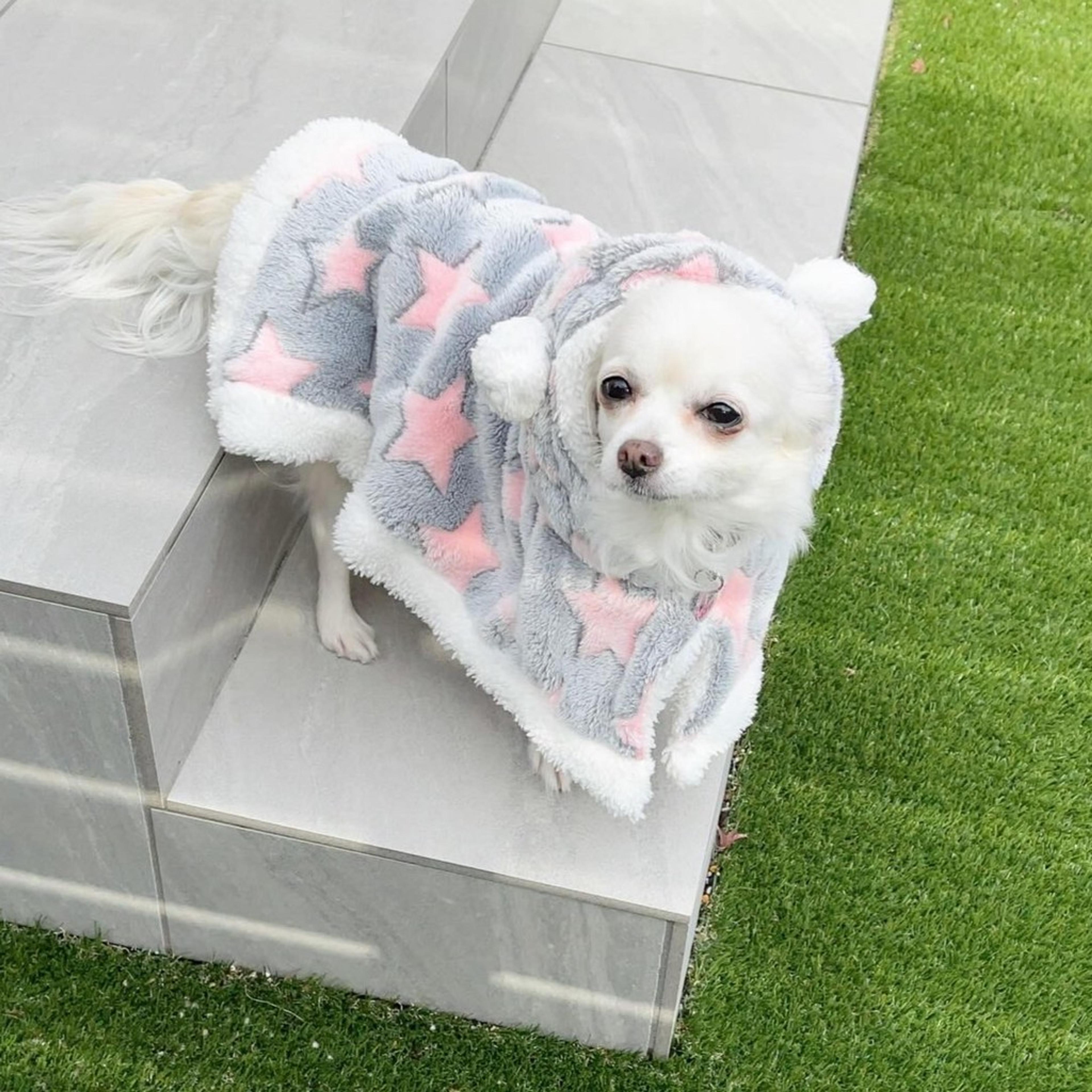 pet-image-3