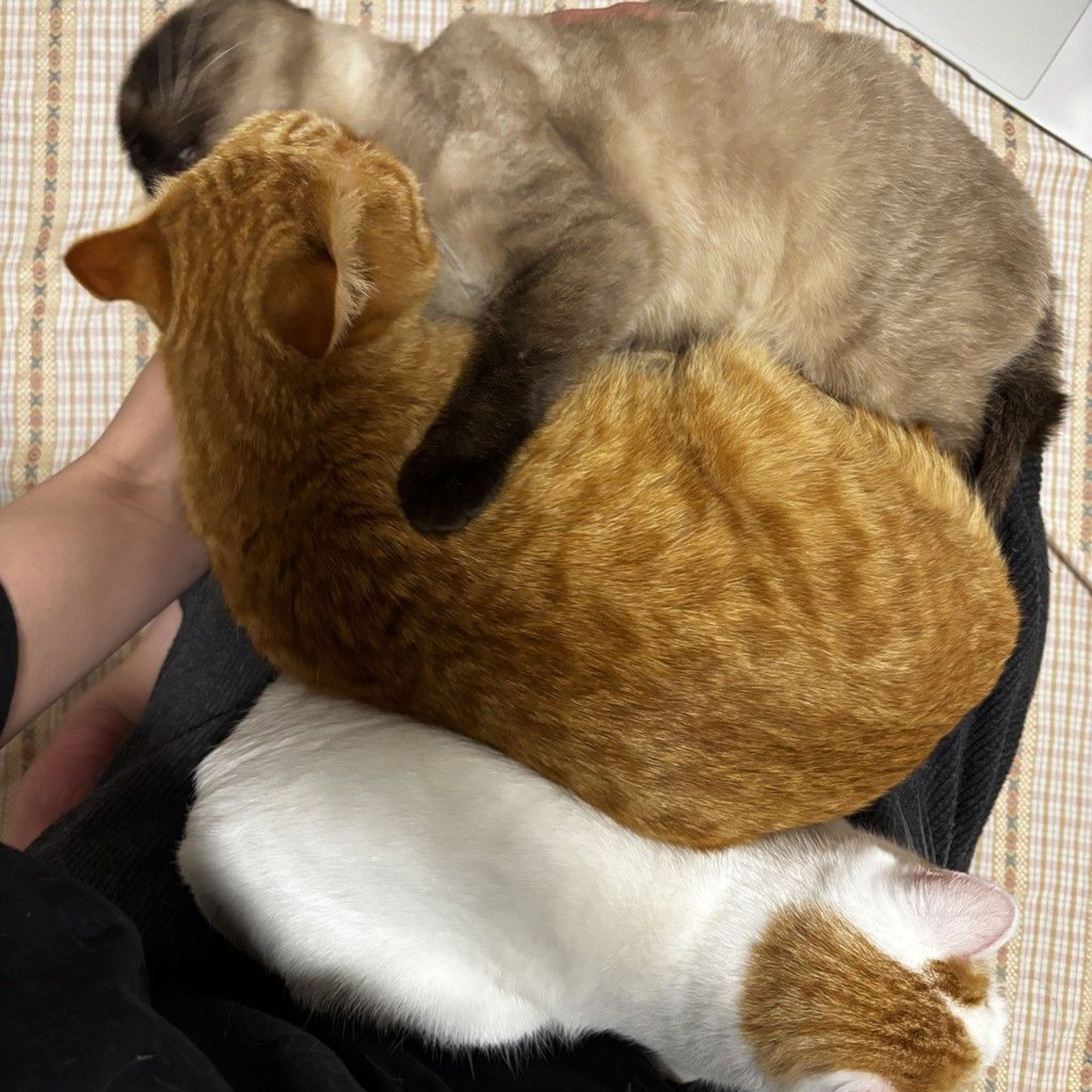 image-6