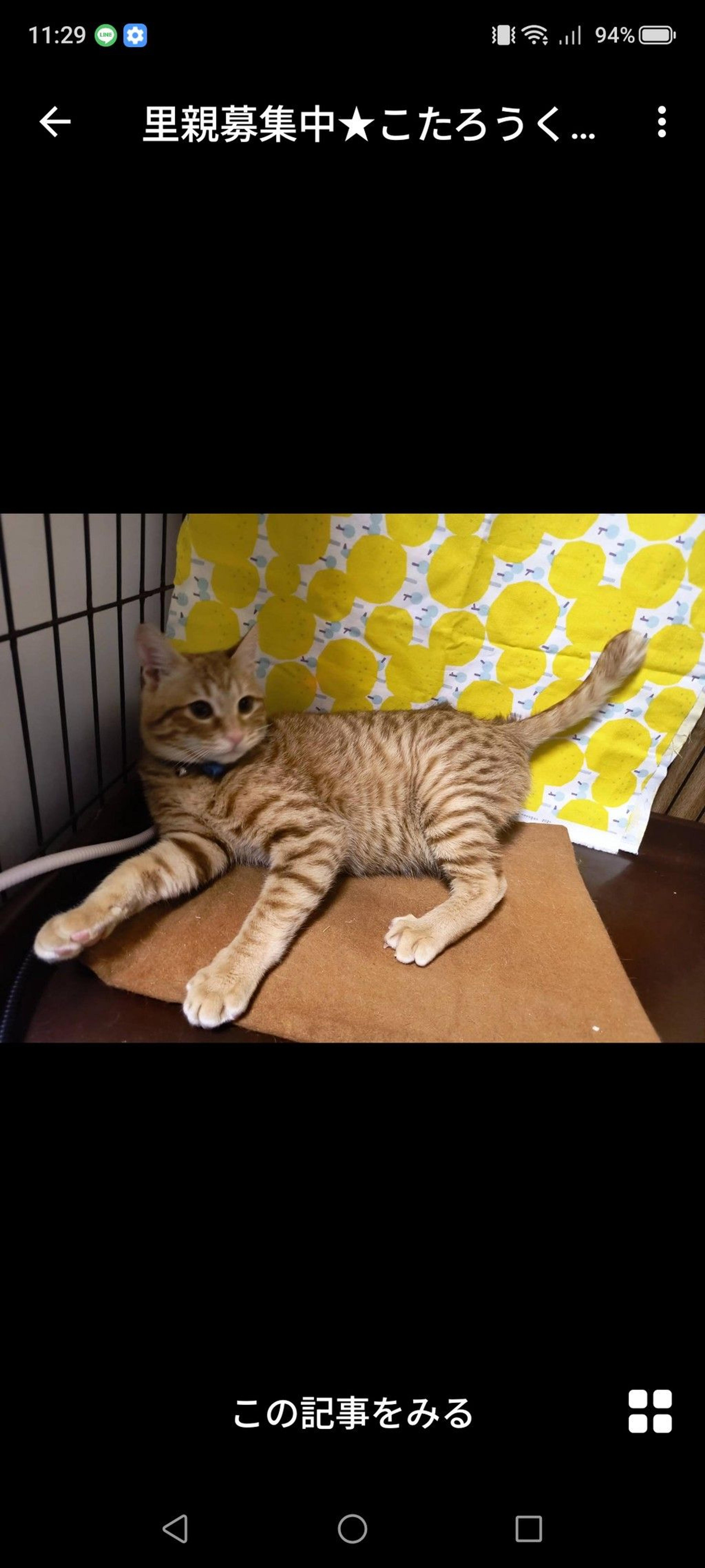 pet-image-3