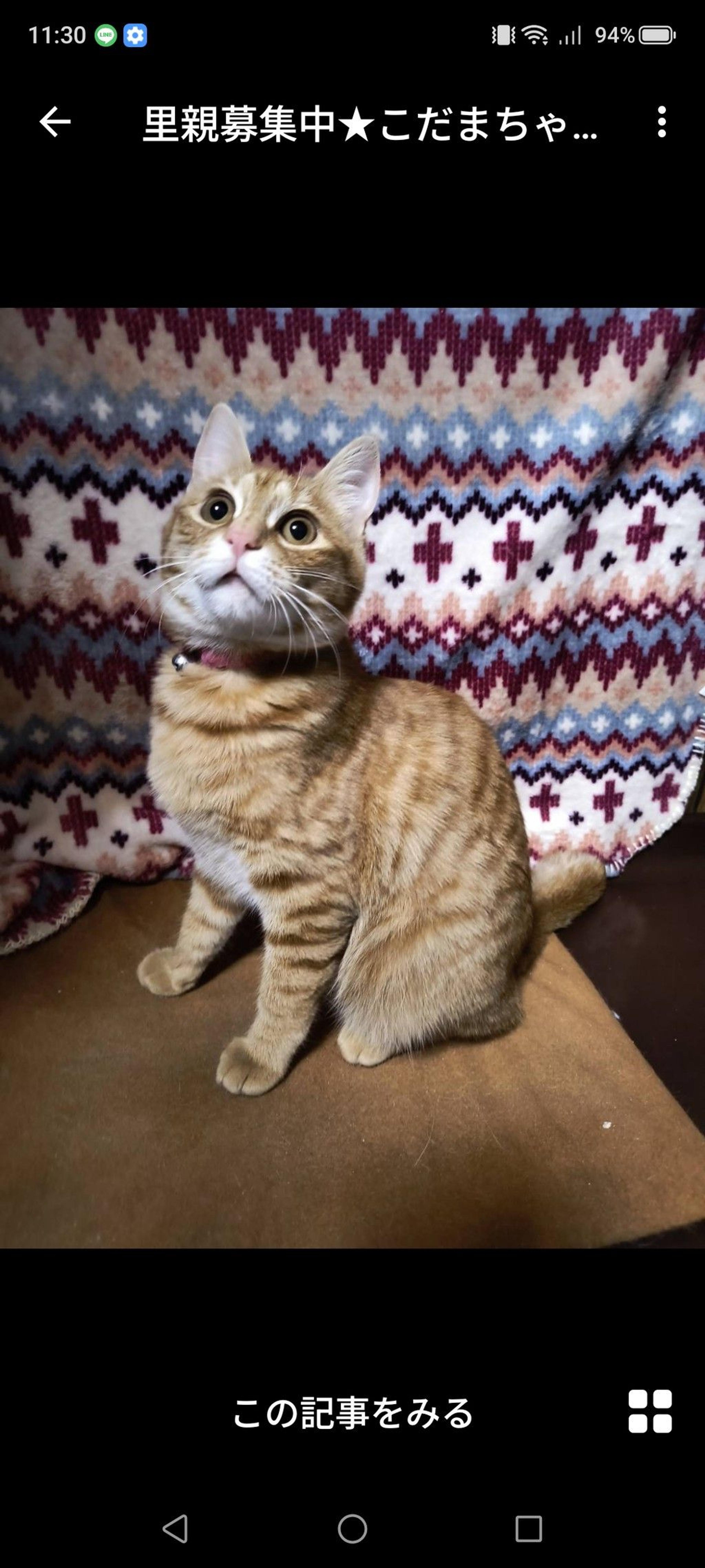 pet-image-2