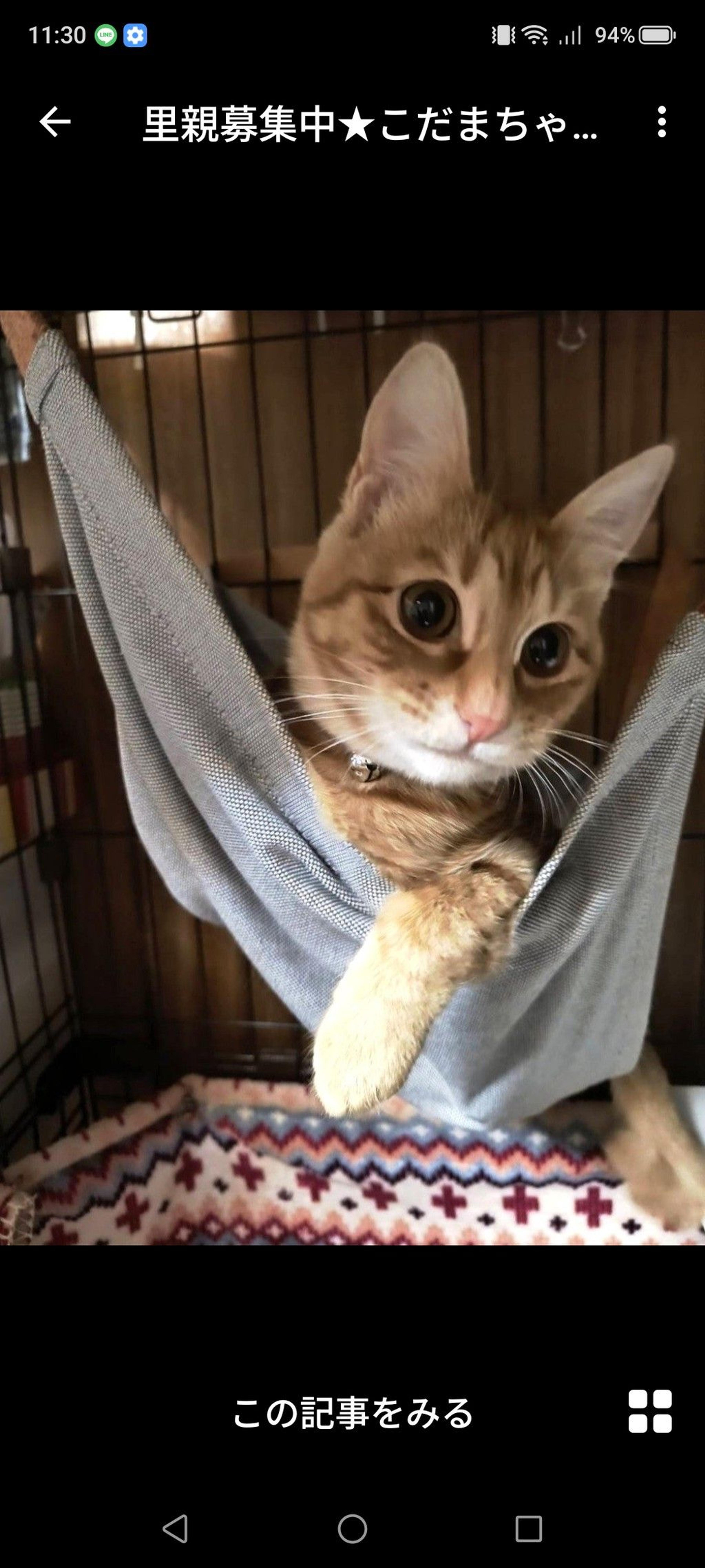 pet-image-3