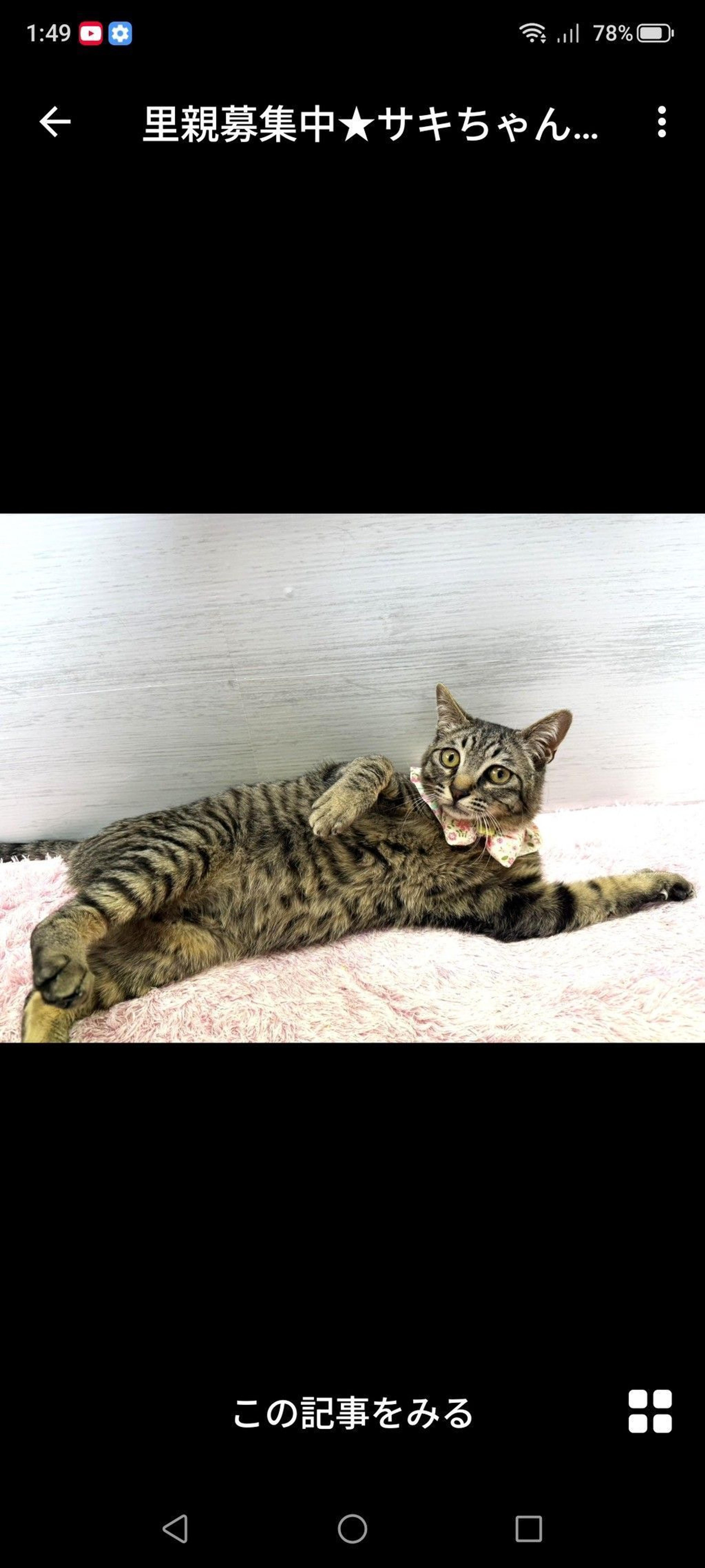 pet-image-3