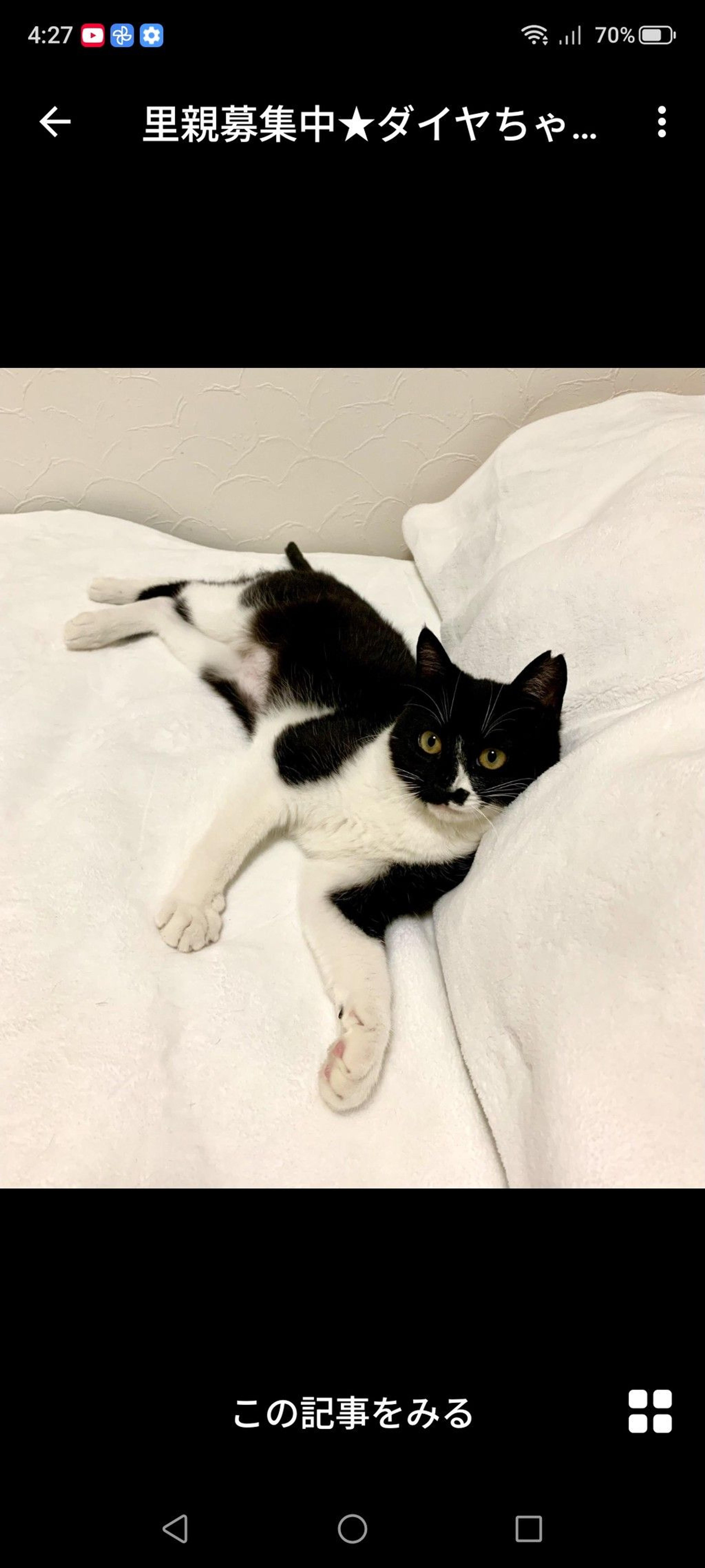 pet-image-2