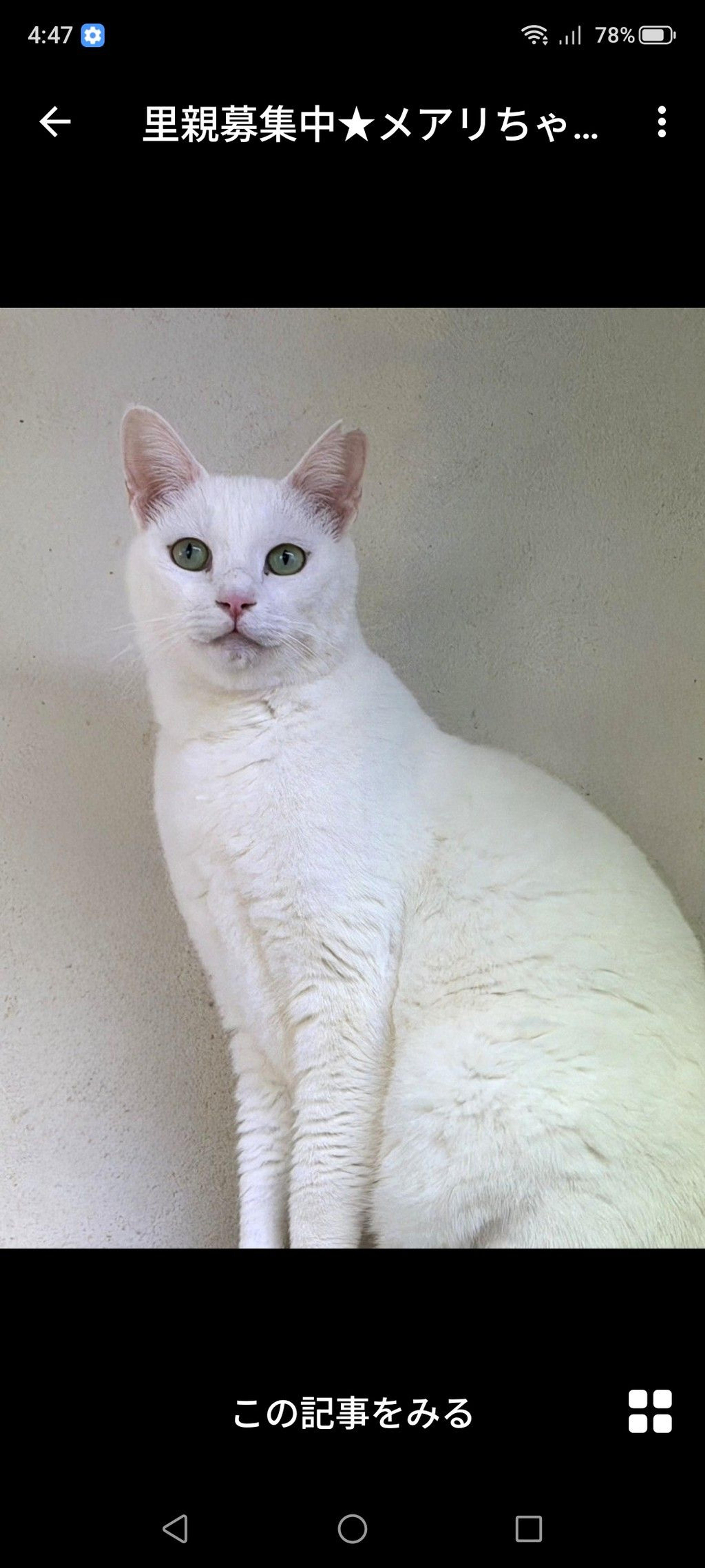 pet-image-2